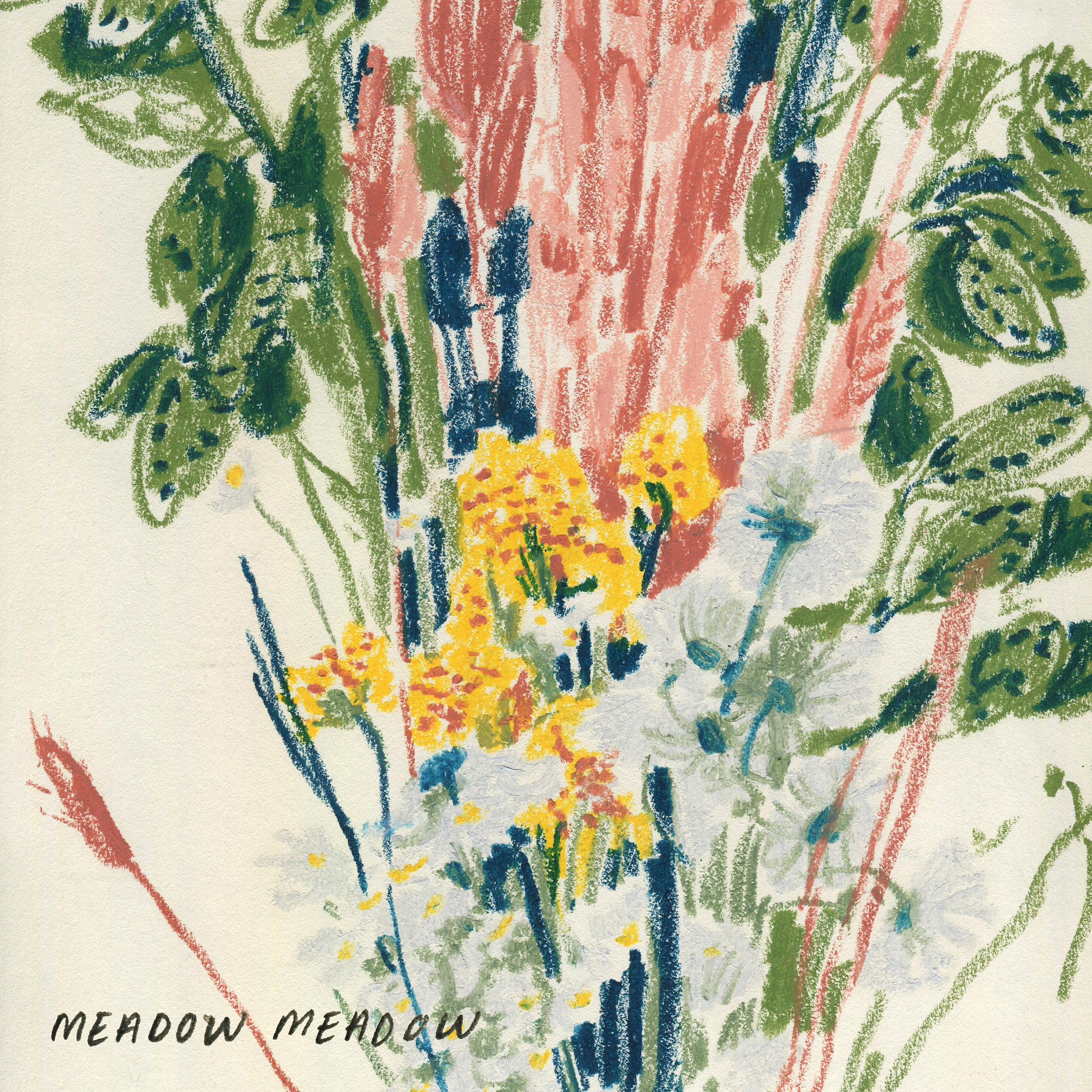 Постер альбома Meadow Meadow