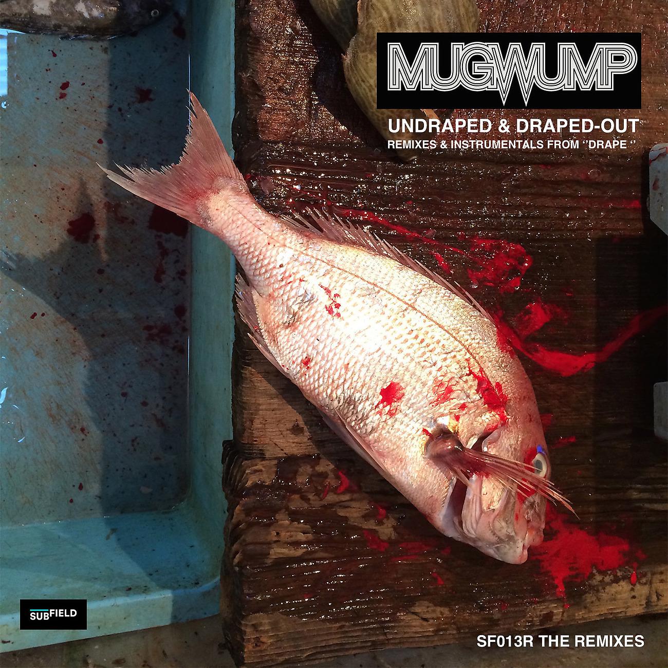 Постер альбома Undraped and Draped-Out (Remixes)