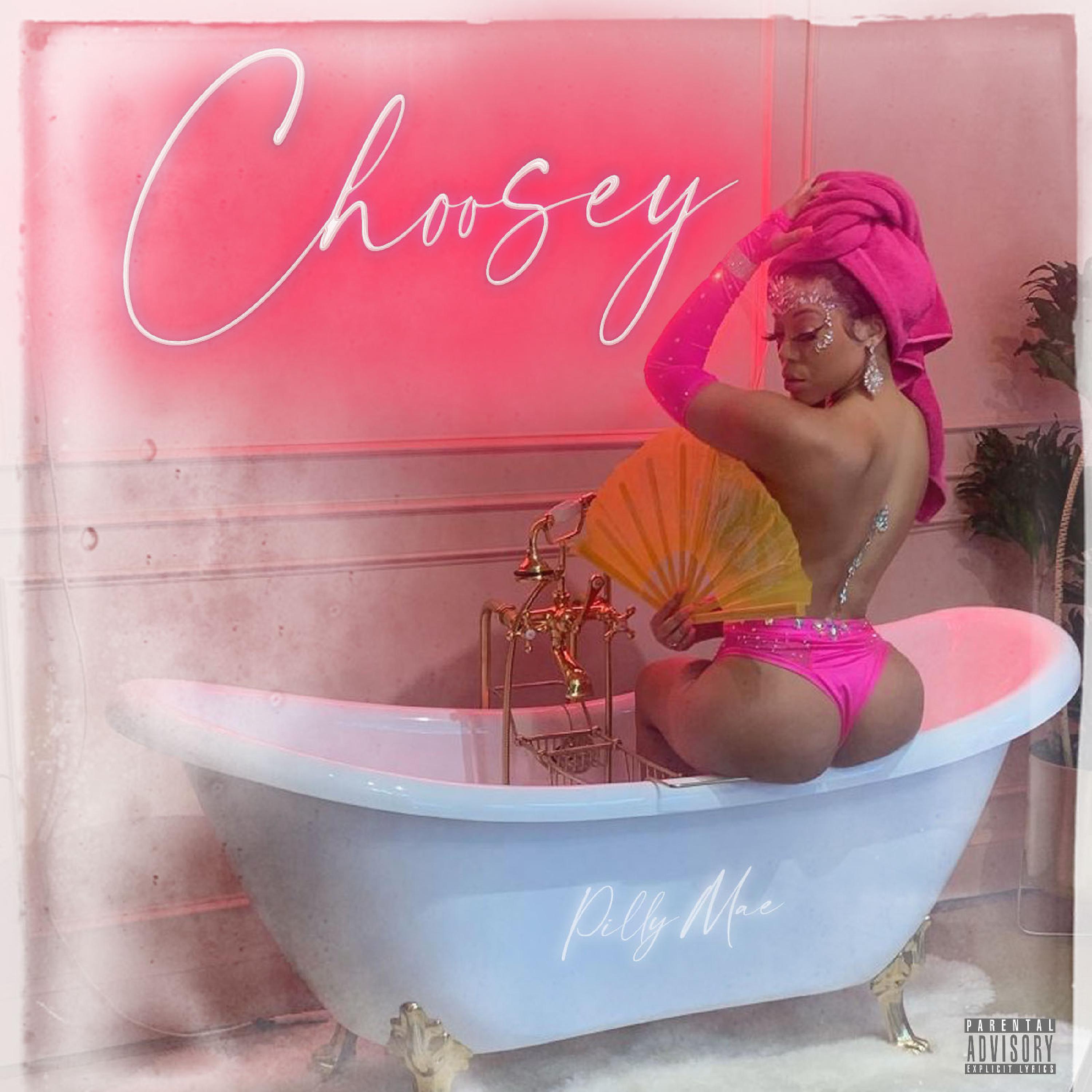 Постер альбома Choosey (Clean)