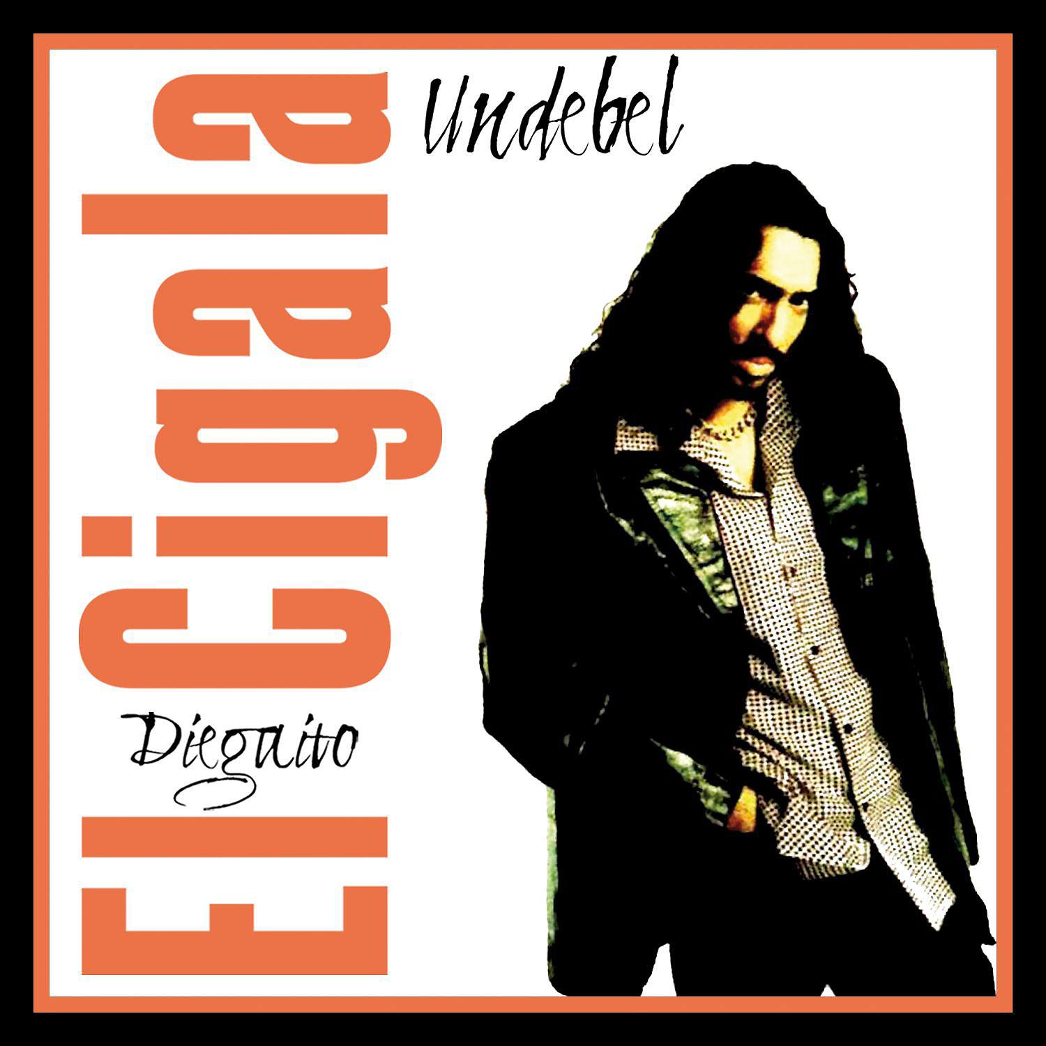 Постер альбома Undebel