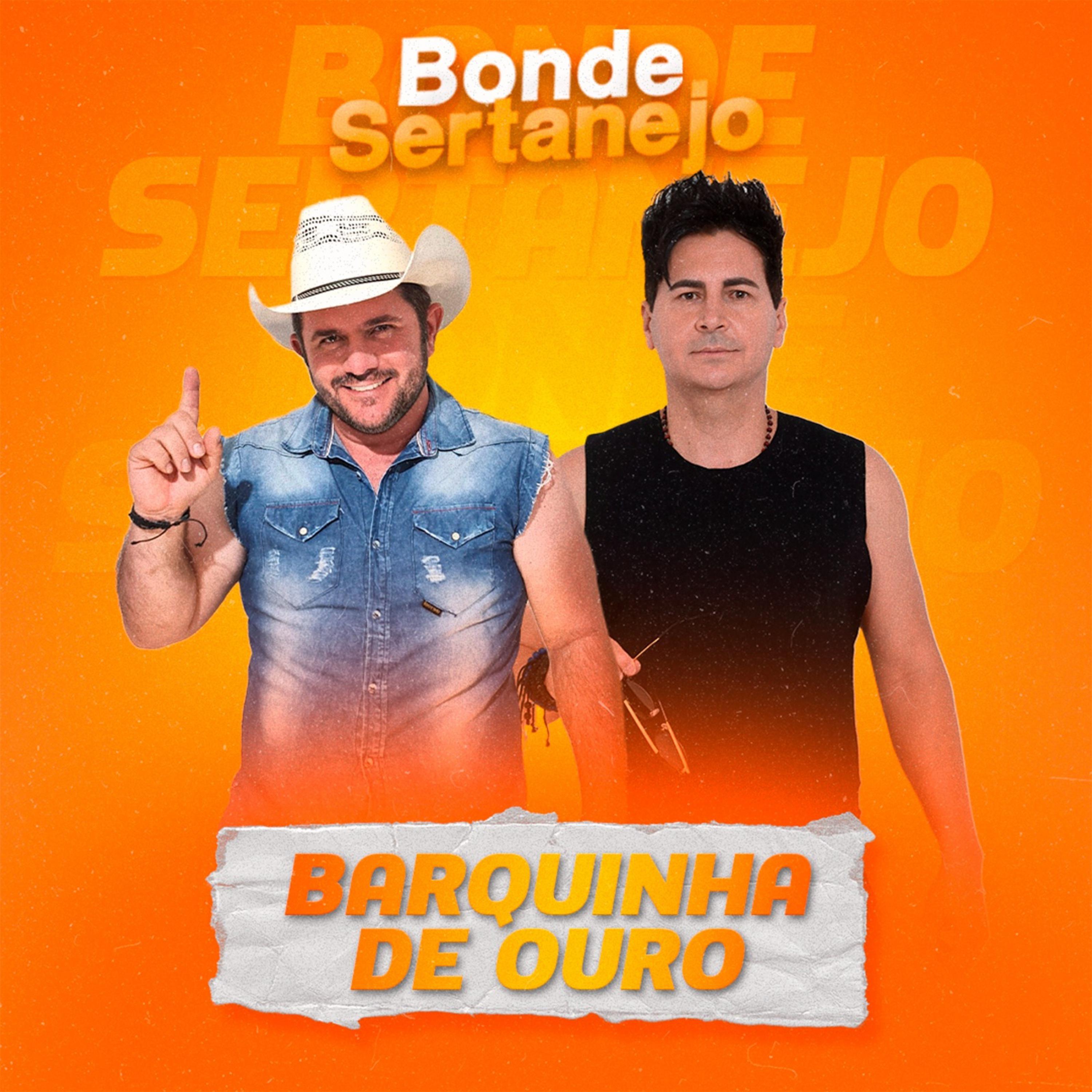 Постер альбома Barquinha de Ouro