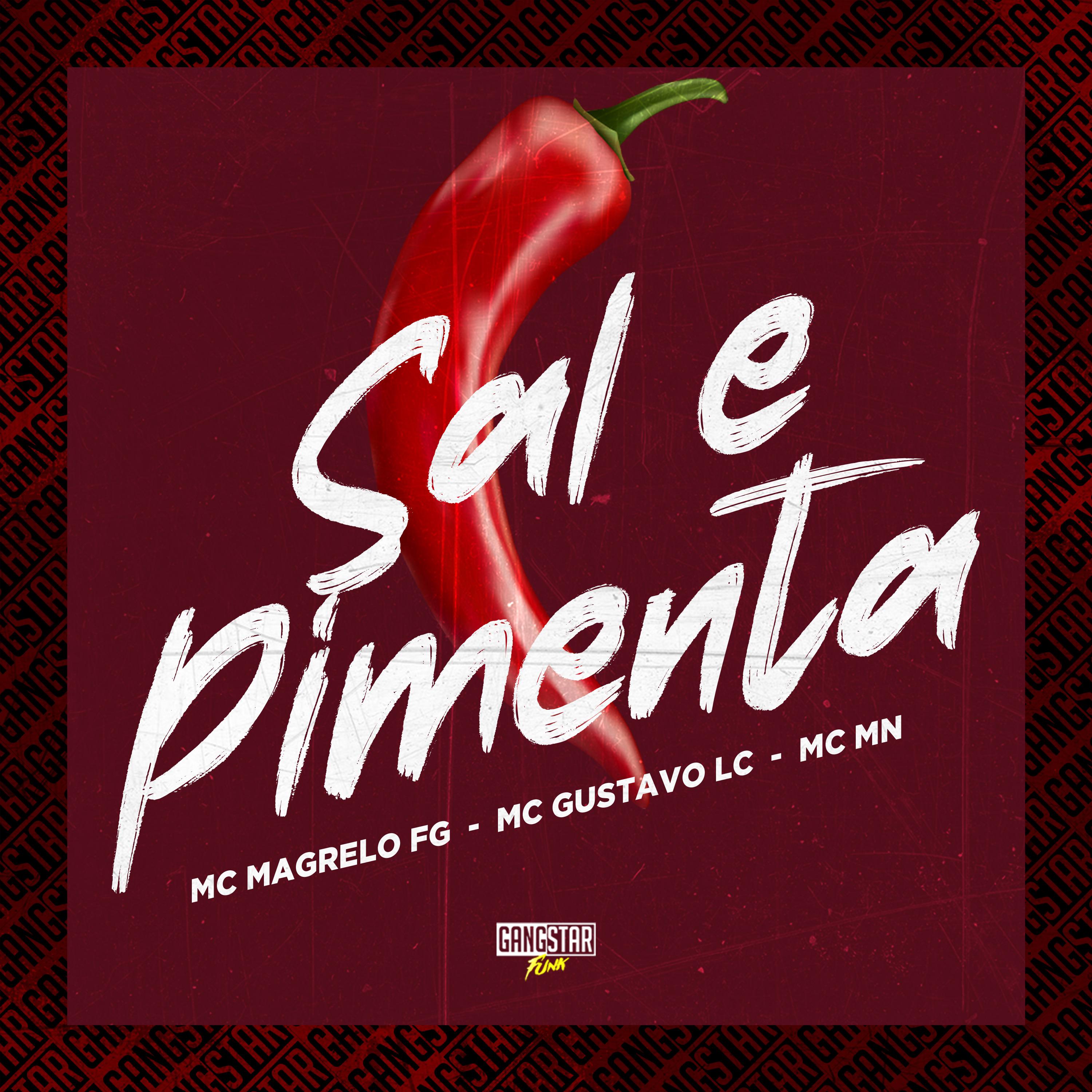 Постер альбома Sal e Pimenta