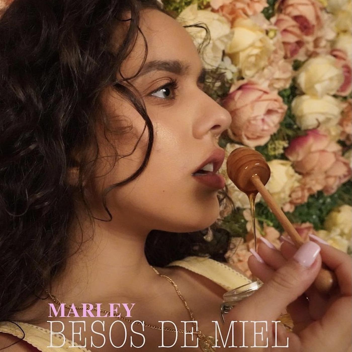 Постер альбома Besos De Miel