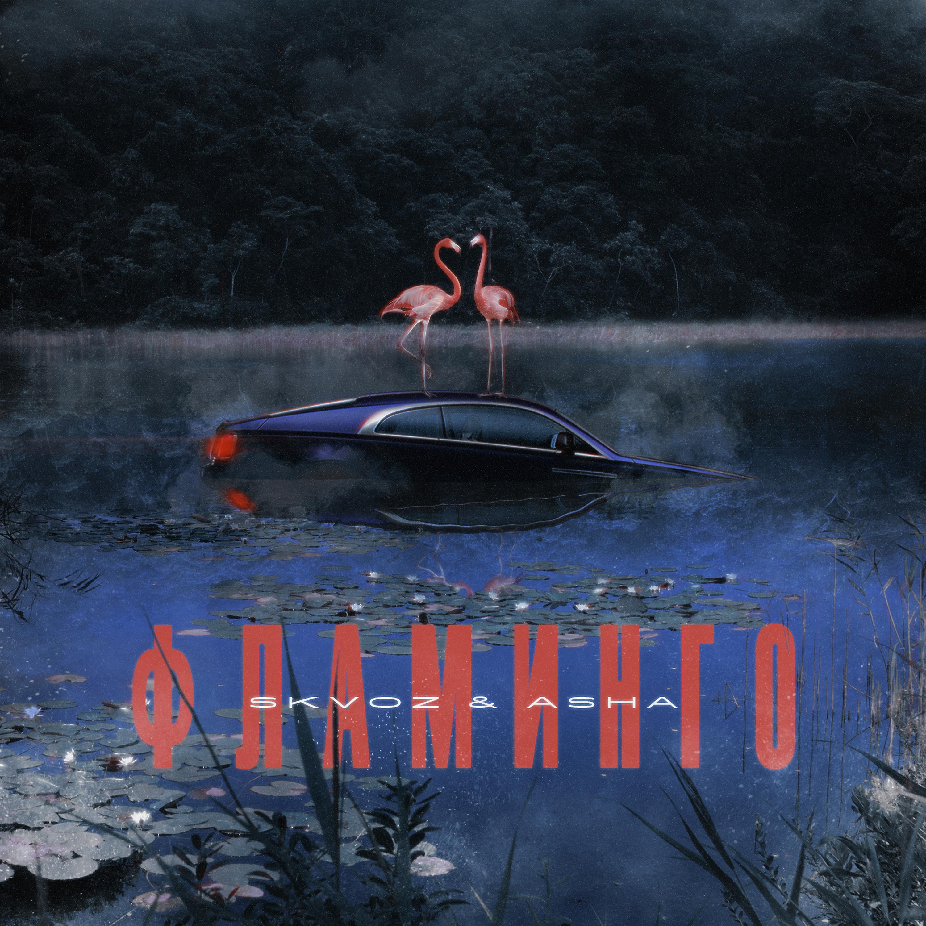Постер альбома Фламинго