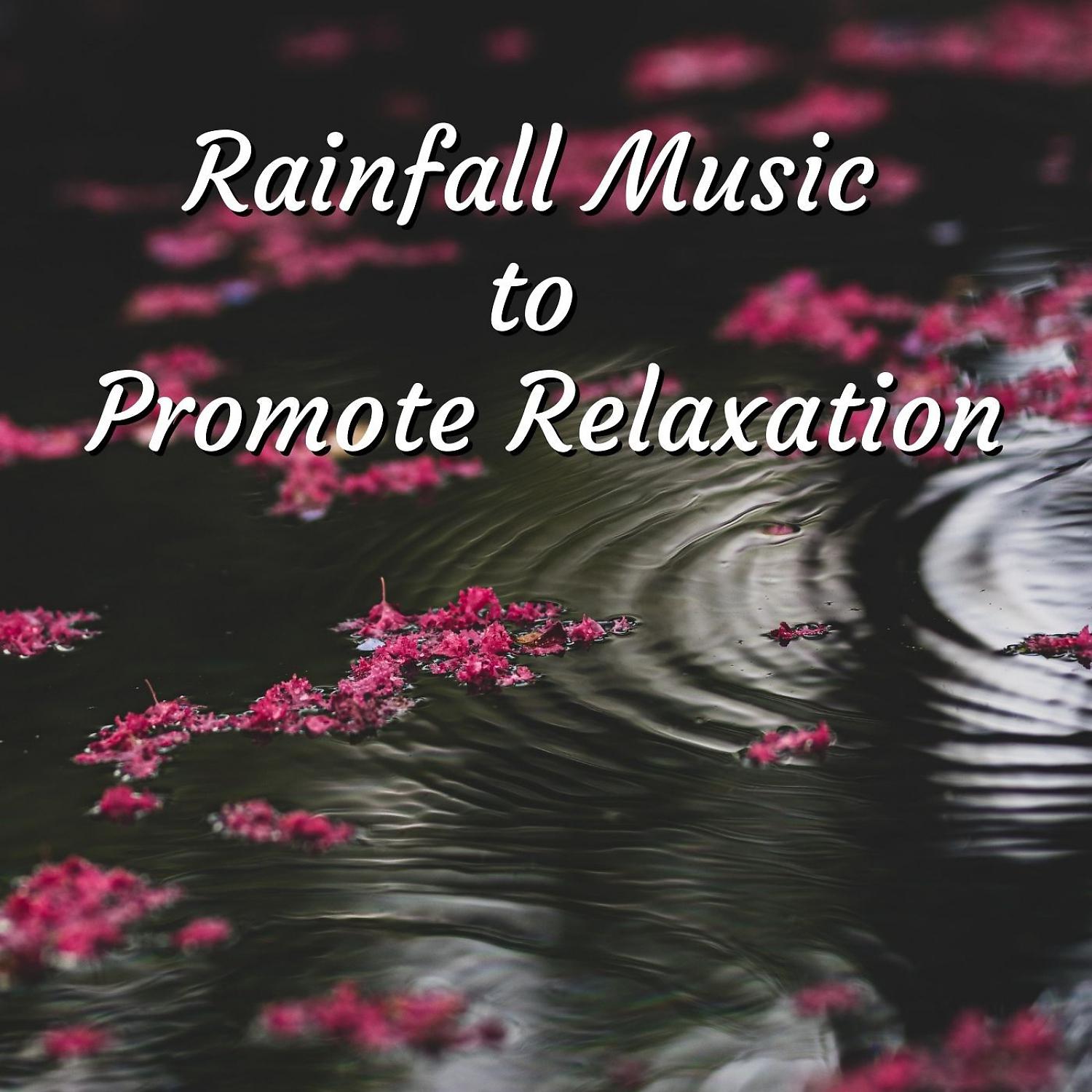 Постер альбома Rainfall Music to Promote Relaxation