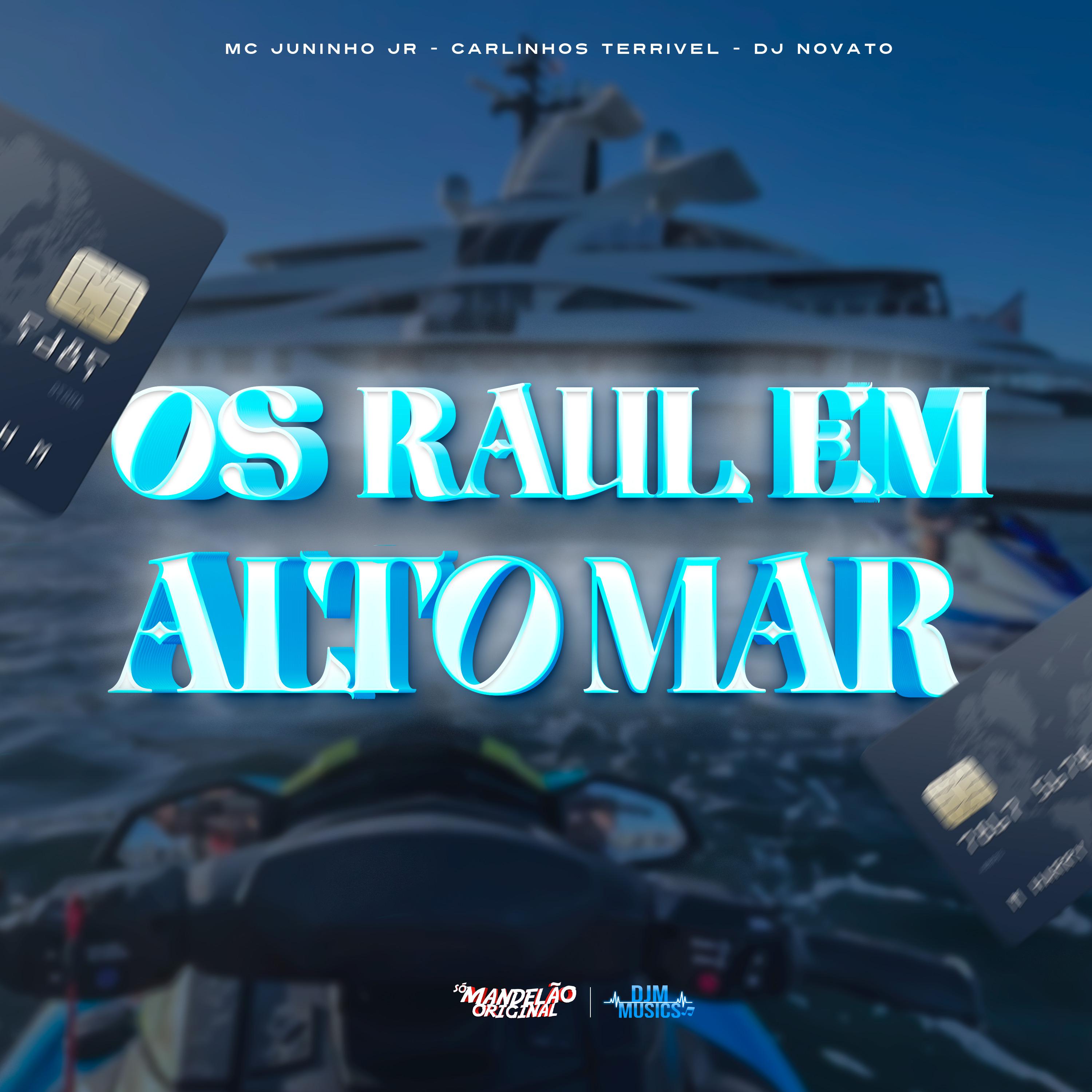Постер альбома Os Raul em Alto Mar