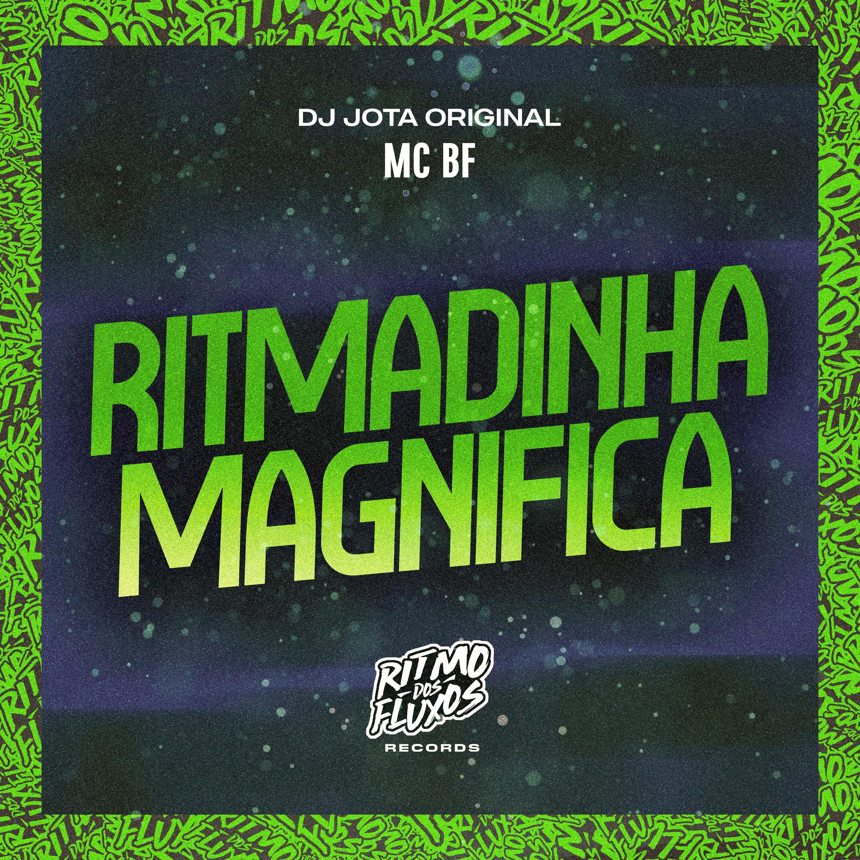 Постер альбома Ritmadinha Magnifica
