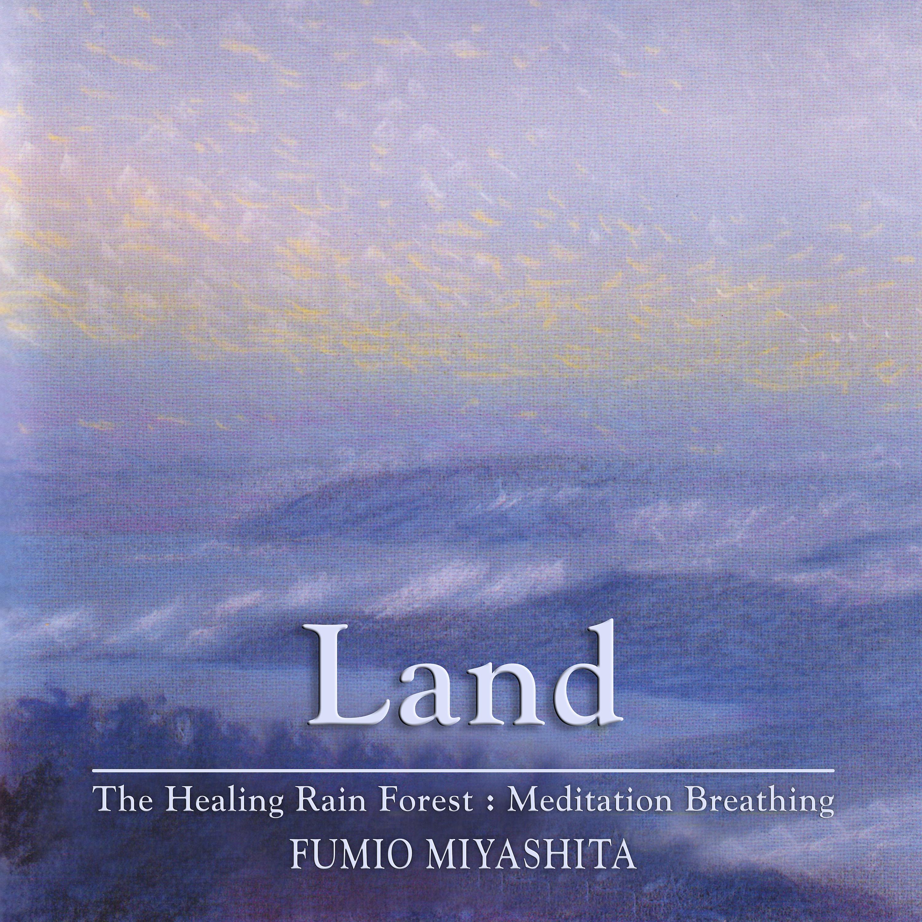 Постер альбома The Healing Rain Forest: Meditation Breathing | Land