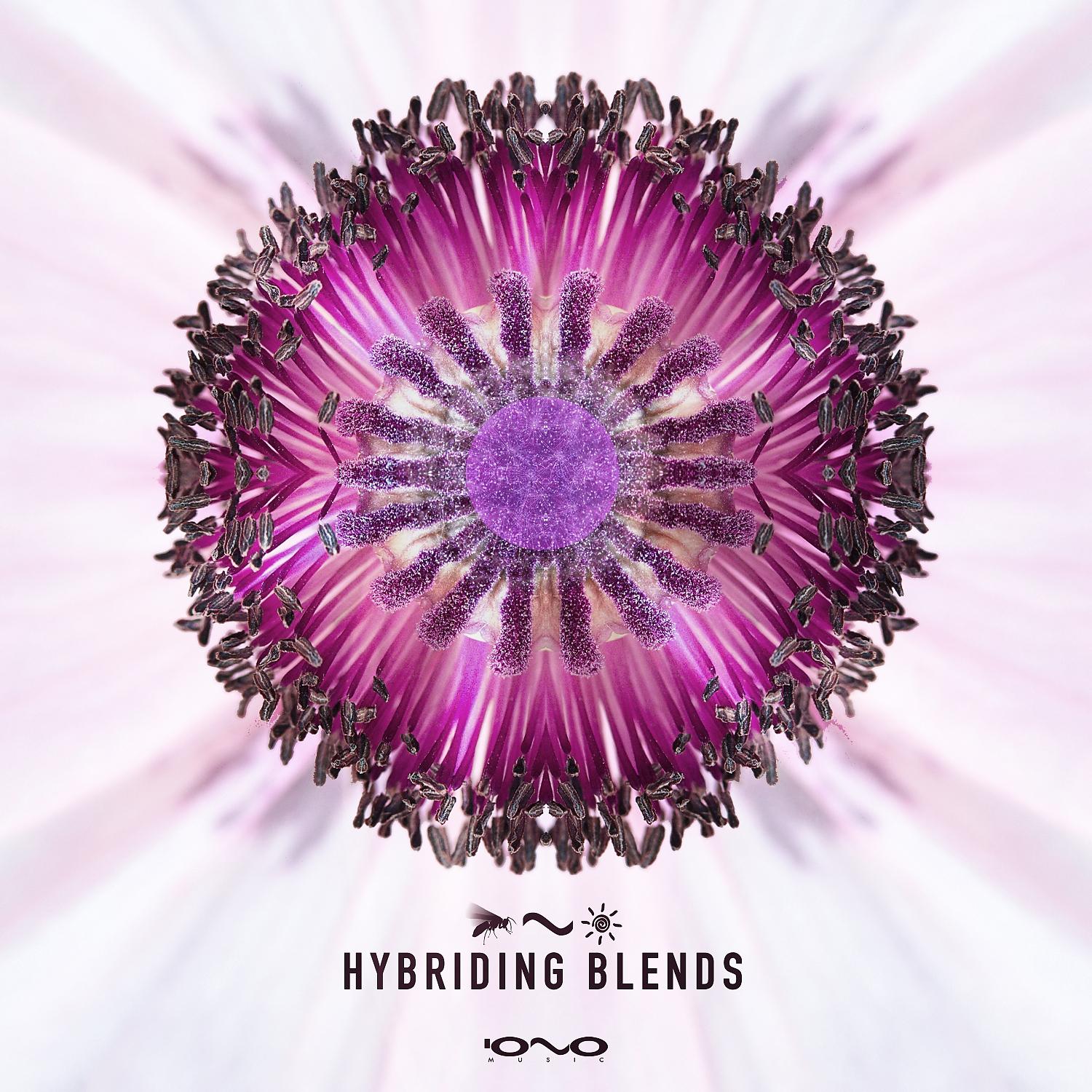 Постер альбома Hybriding Blends