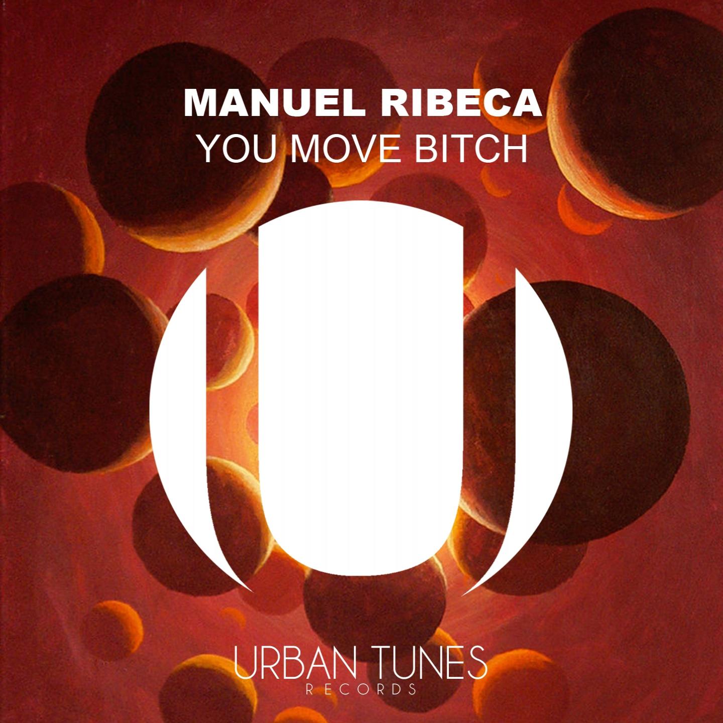 Постер альбома You Move Bitch