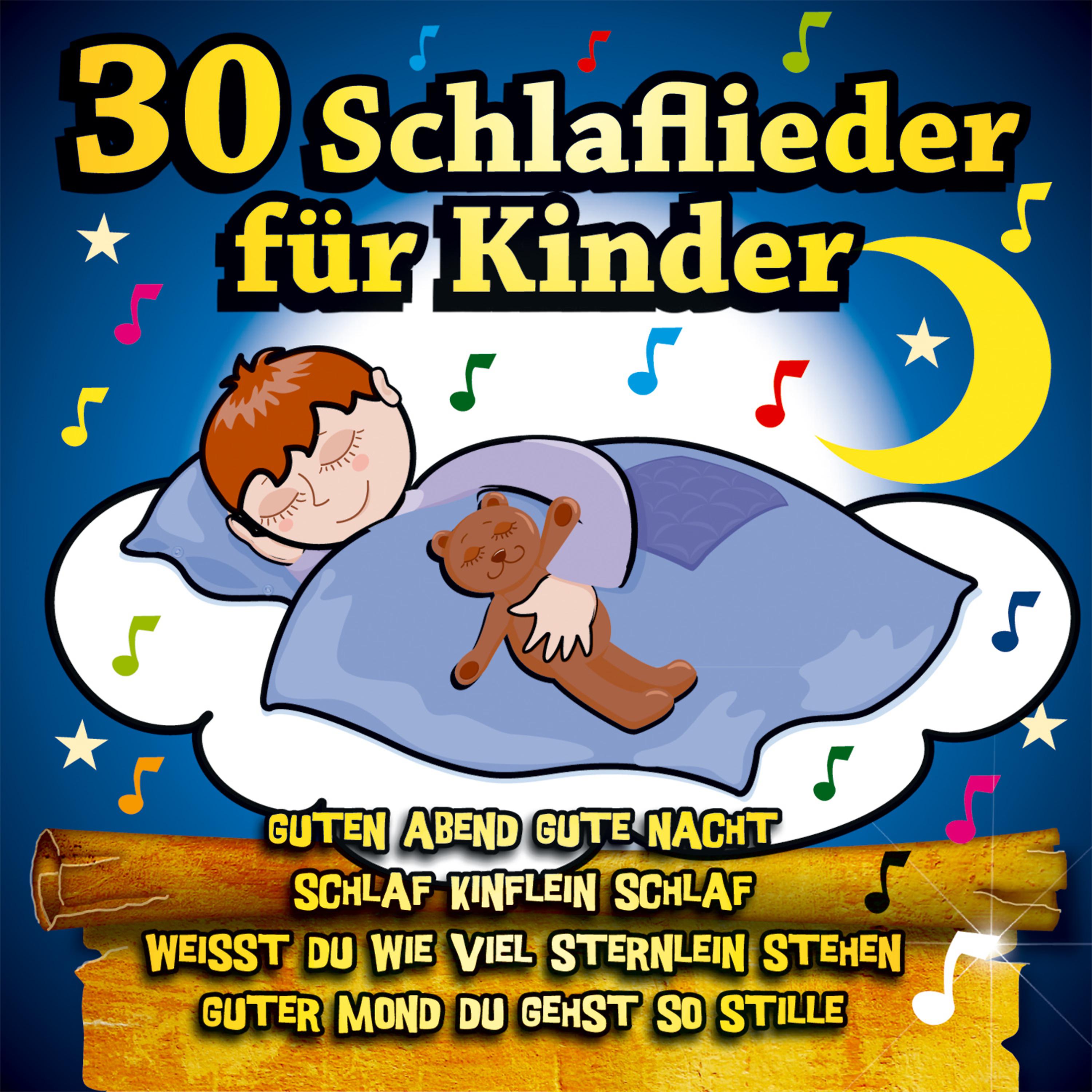 Постер альбома 30 Schlaflieder für Kinder - Guten Abend gute Nacht, Weisst Du wieviel Sternlein stehen ?, Schlaf Kindlein schlaf, Wer hat die schönsten Schäfchen ?
