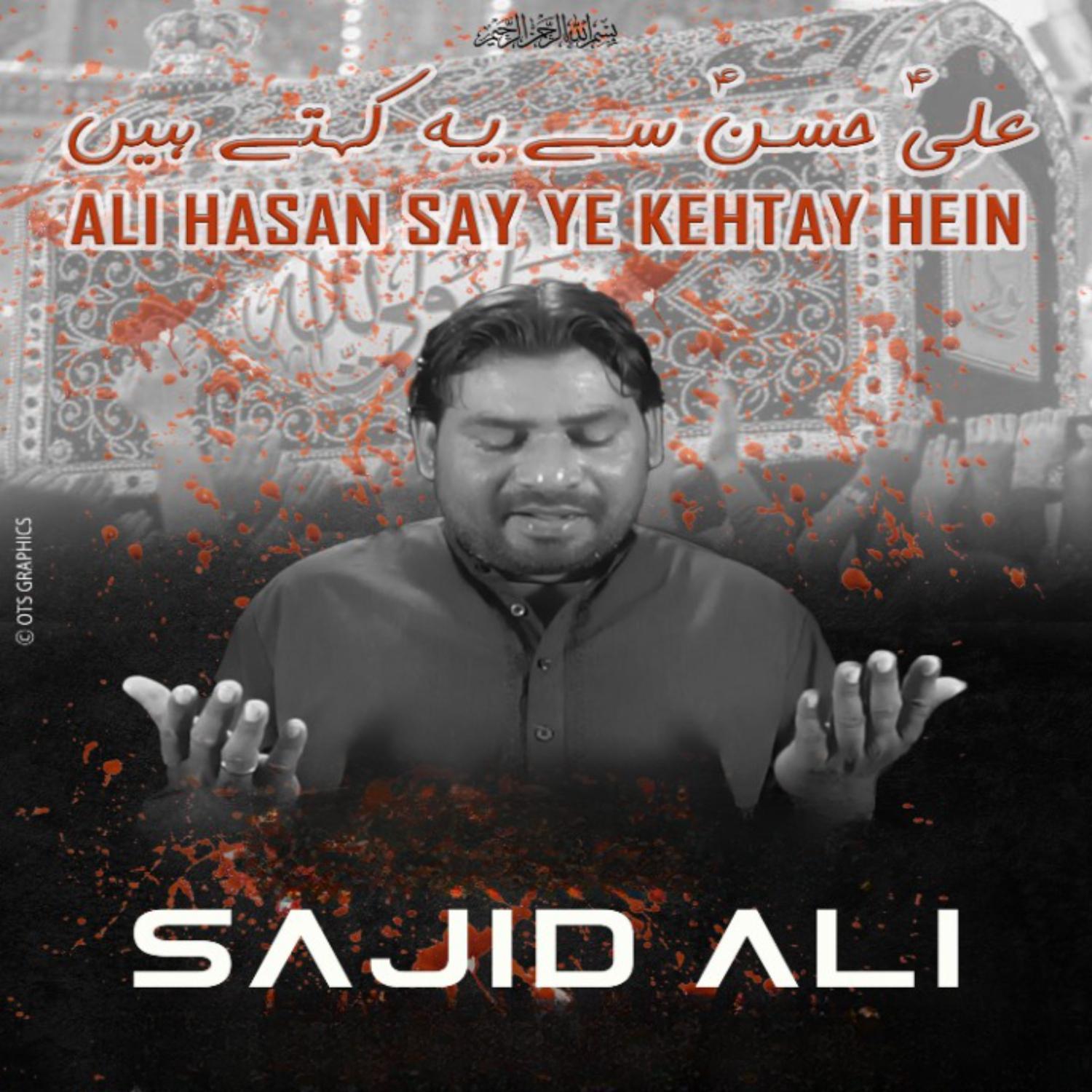 Постер альбома Ali Hasan Say Ye Kehtay Hein