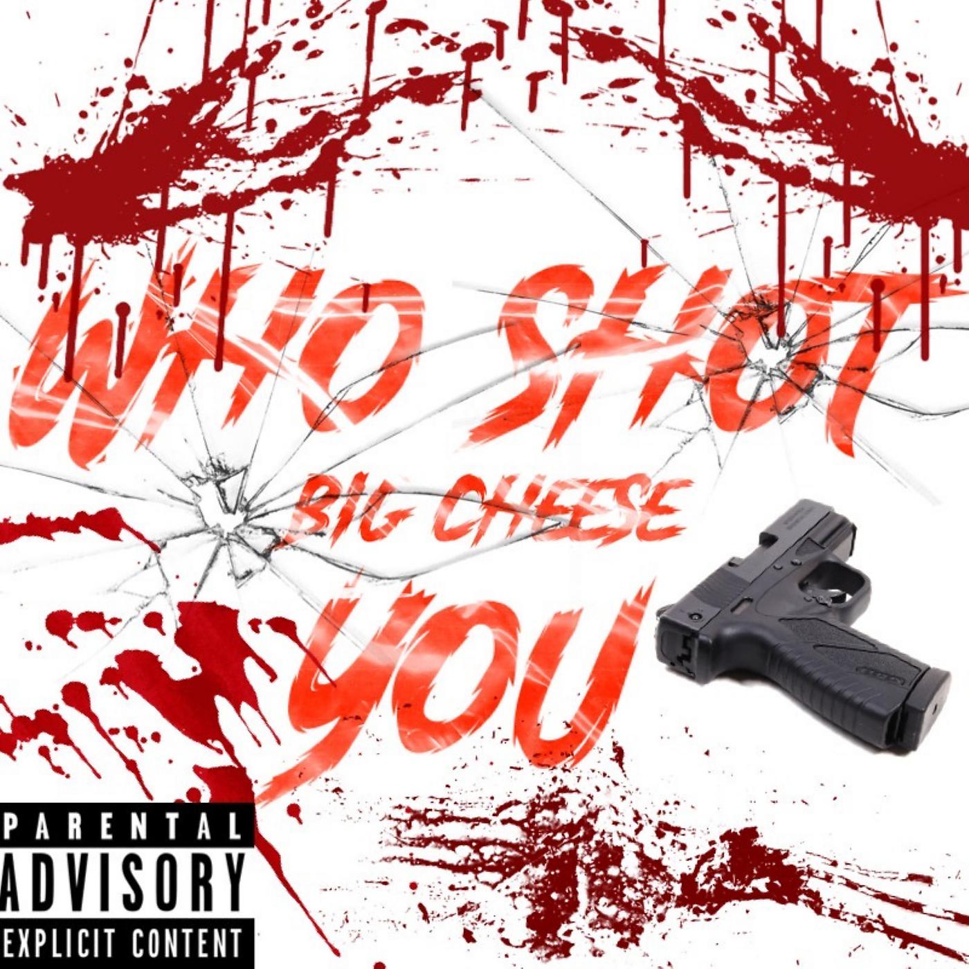 Постер альбома Who Shot You
