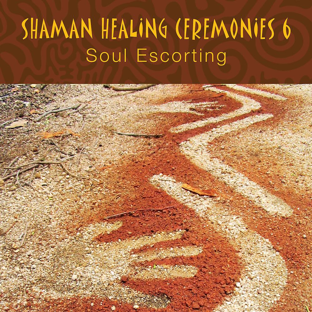 Постер альбома Shaman Healing Ceremonies, Pt. 6