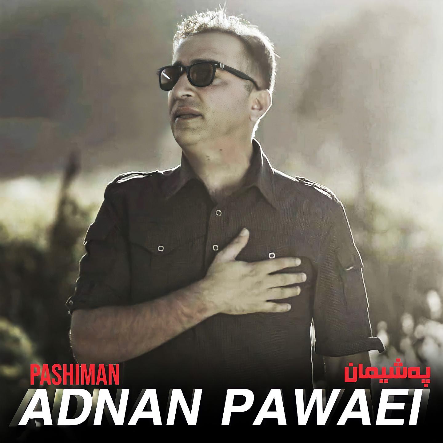 Постер альбома Pashiman