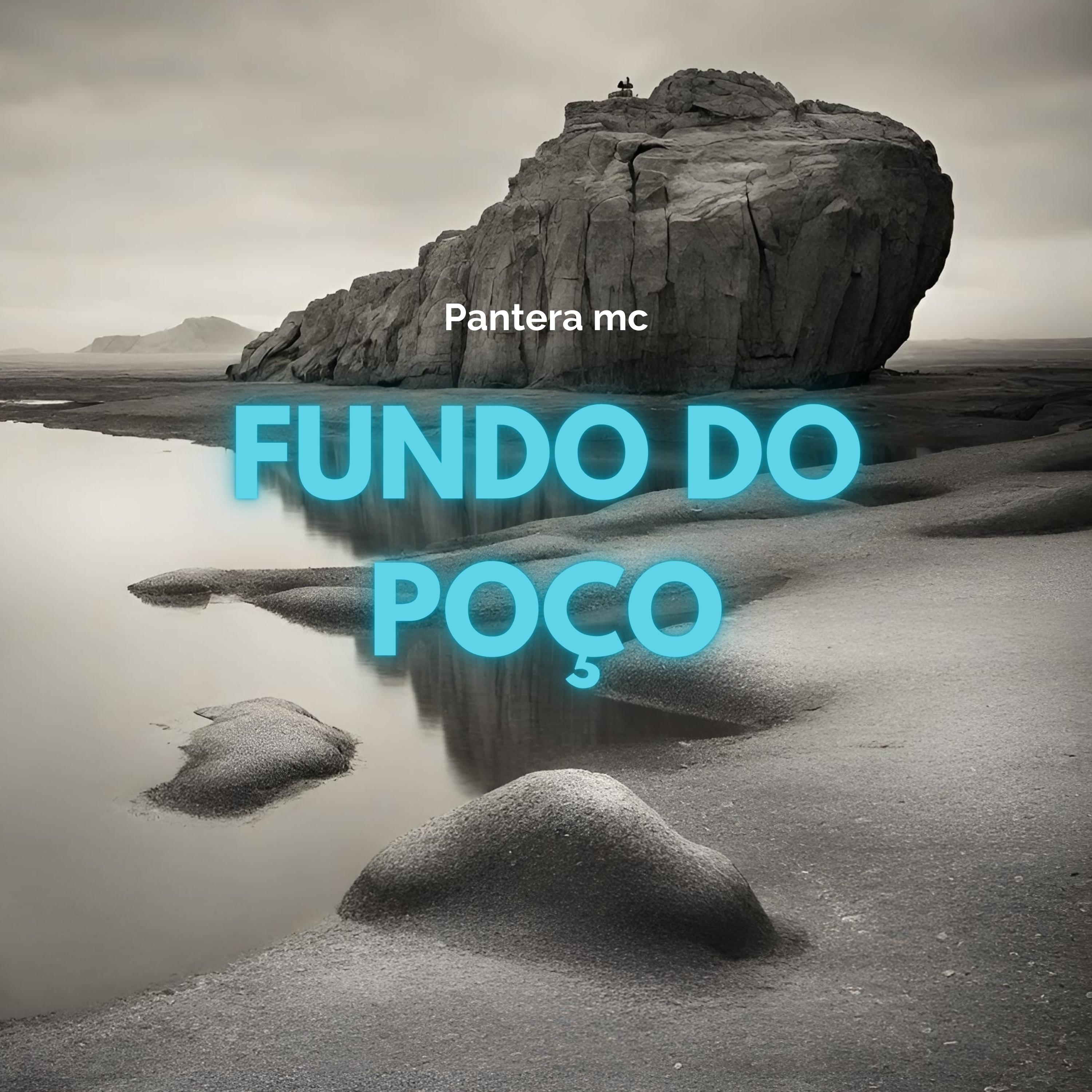 Постер альбома Fundo do Poço