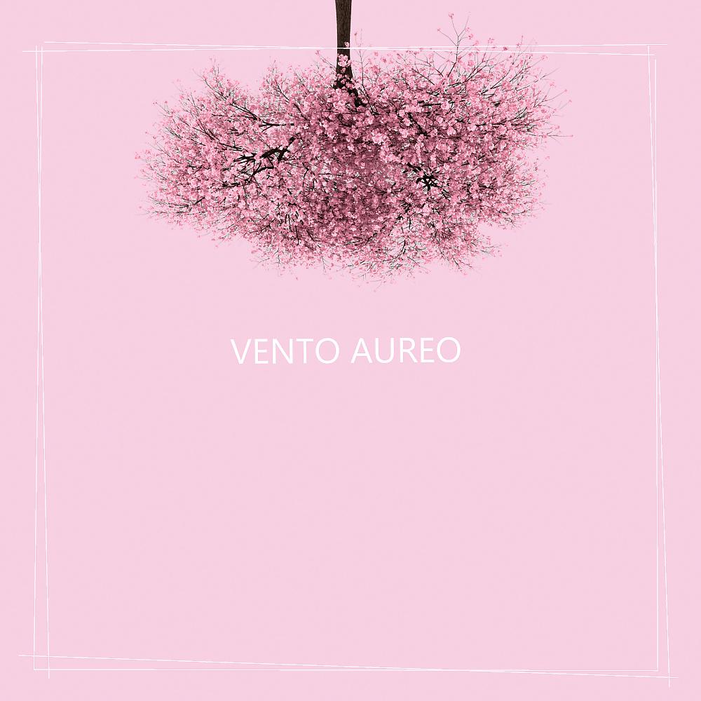 Постер альбома Vento Aureo