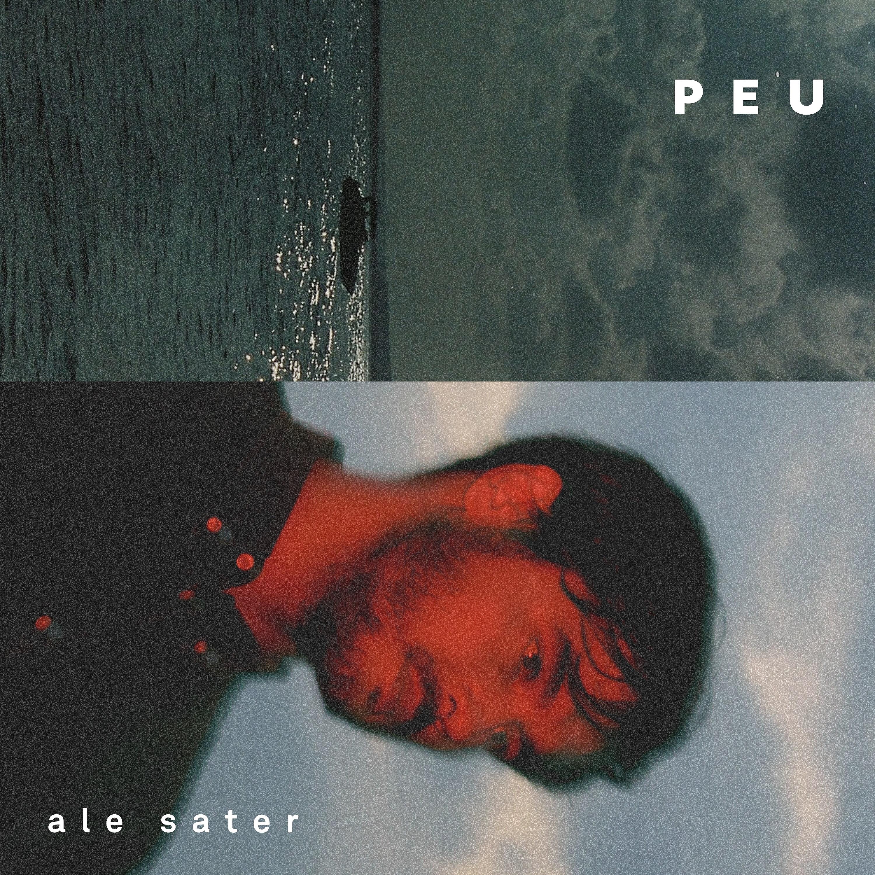 Постер альбома Peu