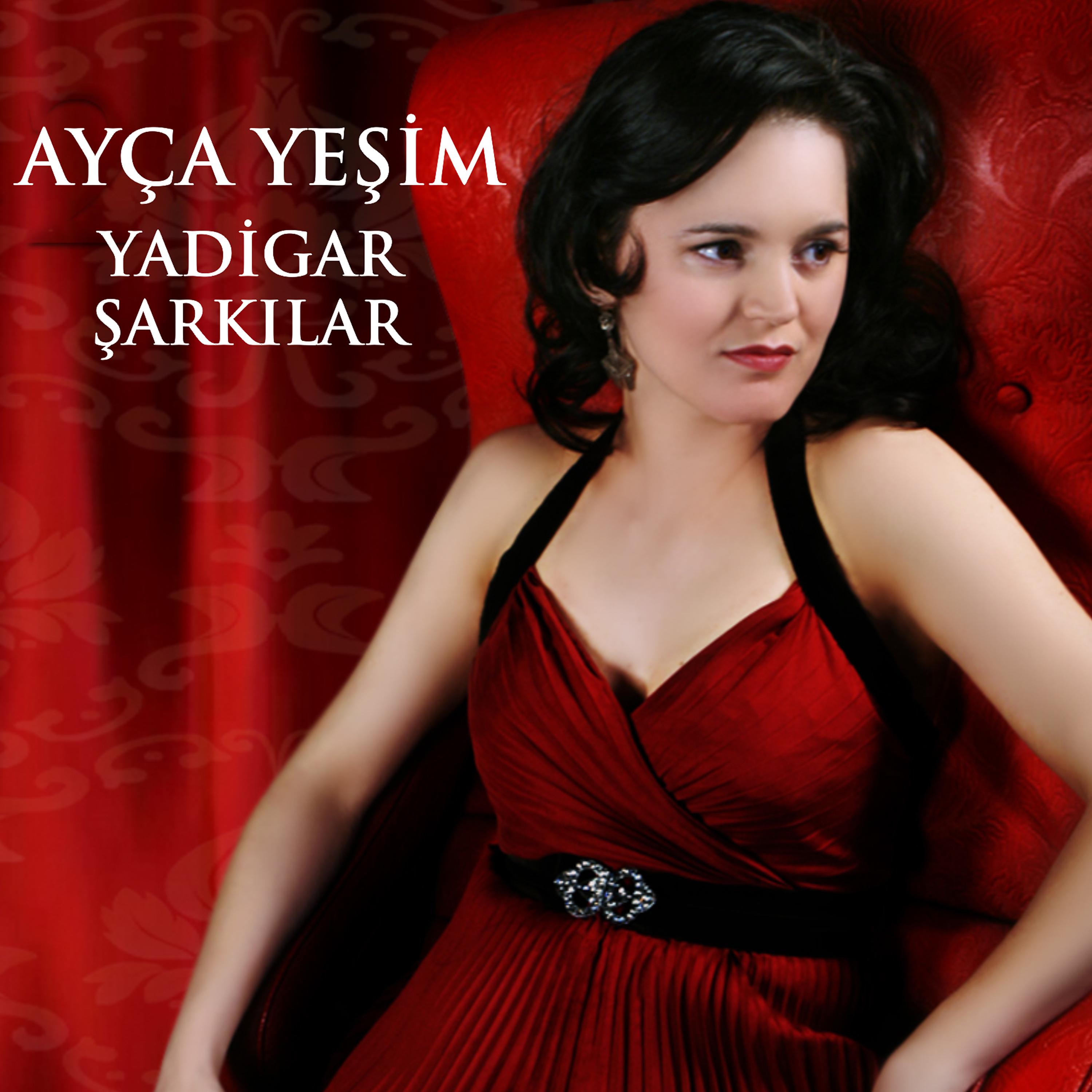 Постер альбома Yadigar Şarkılar