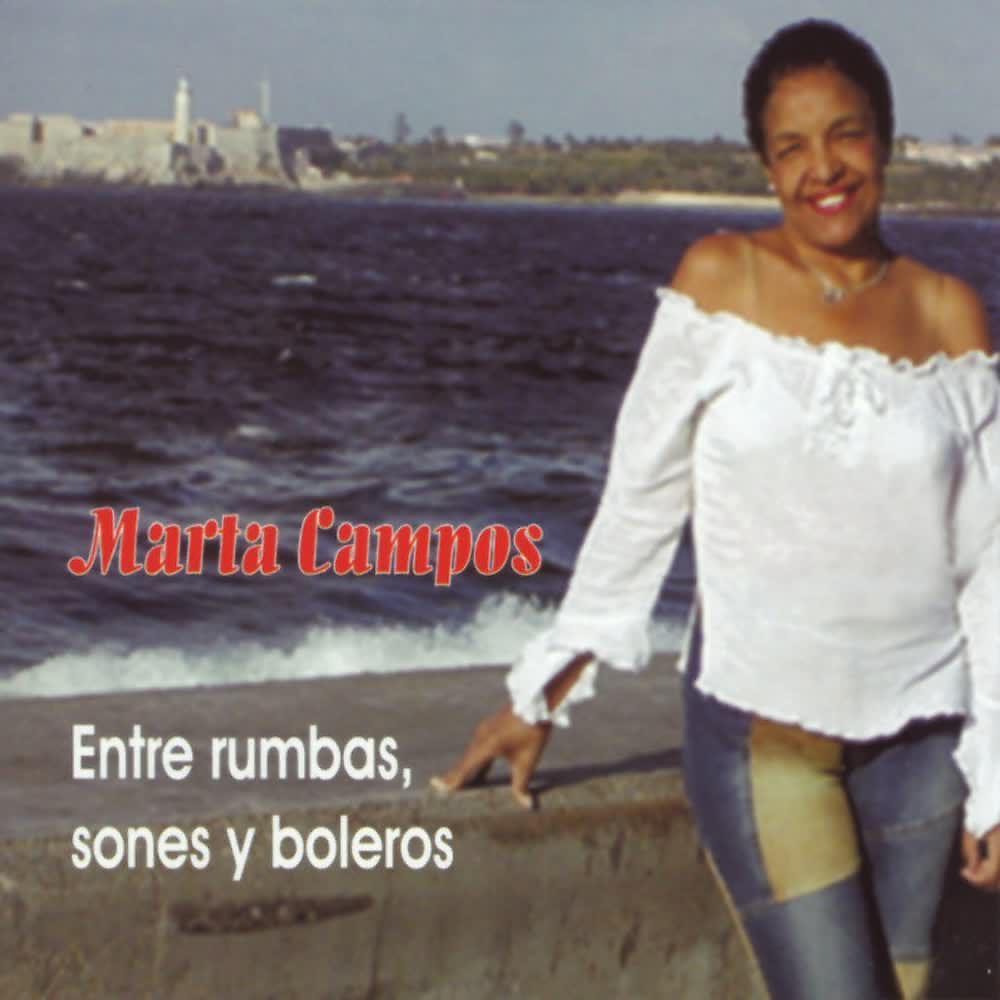 Постер альбома Entre Rumbas, Sones y Boleros