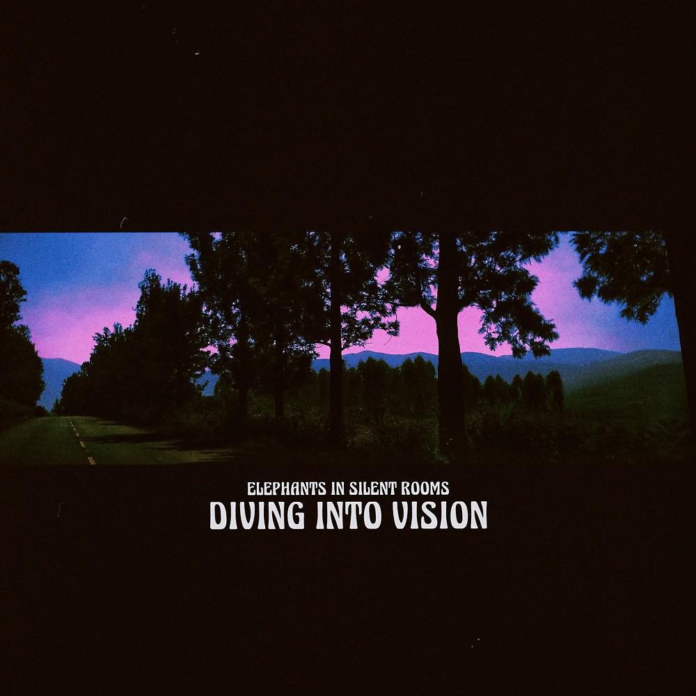 Постер альбома Diving into Vision