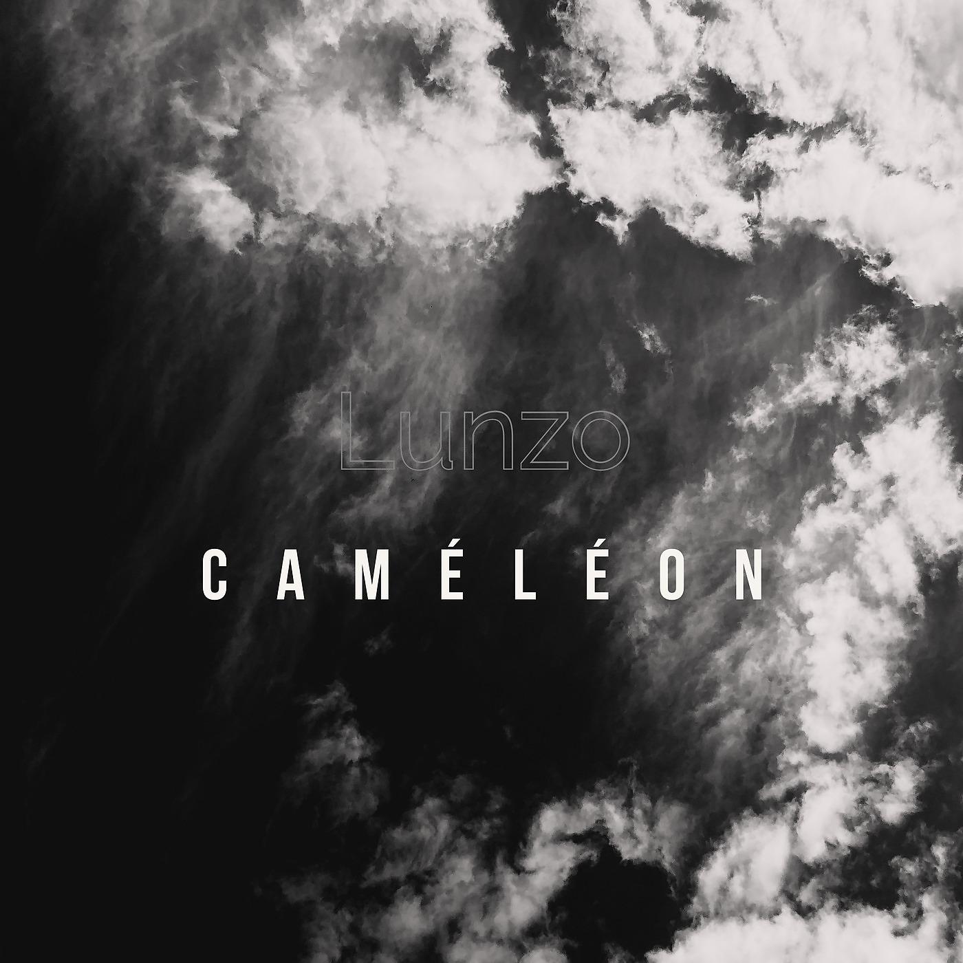 Постер альбома Caméléon