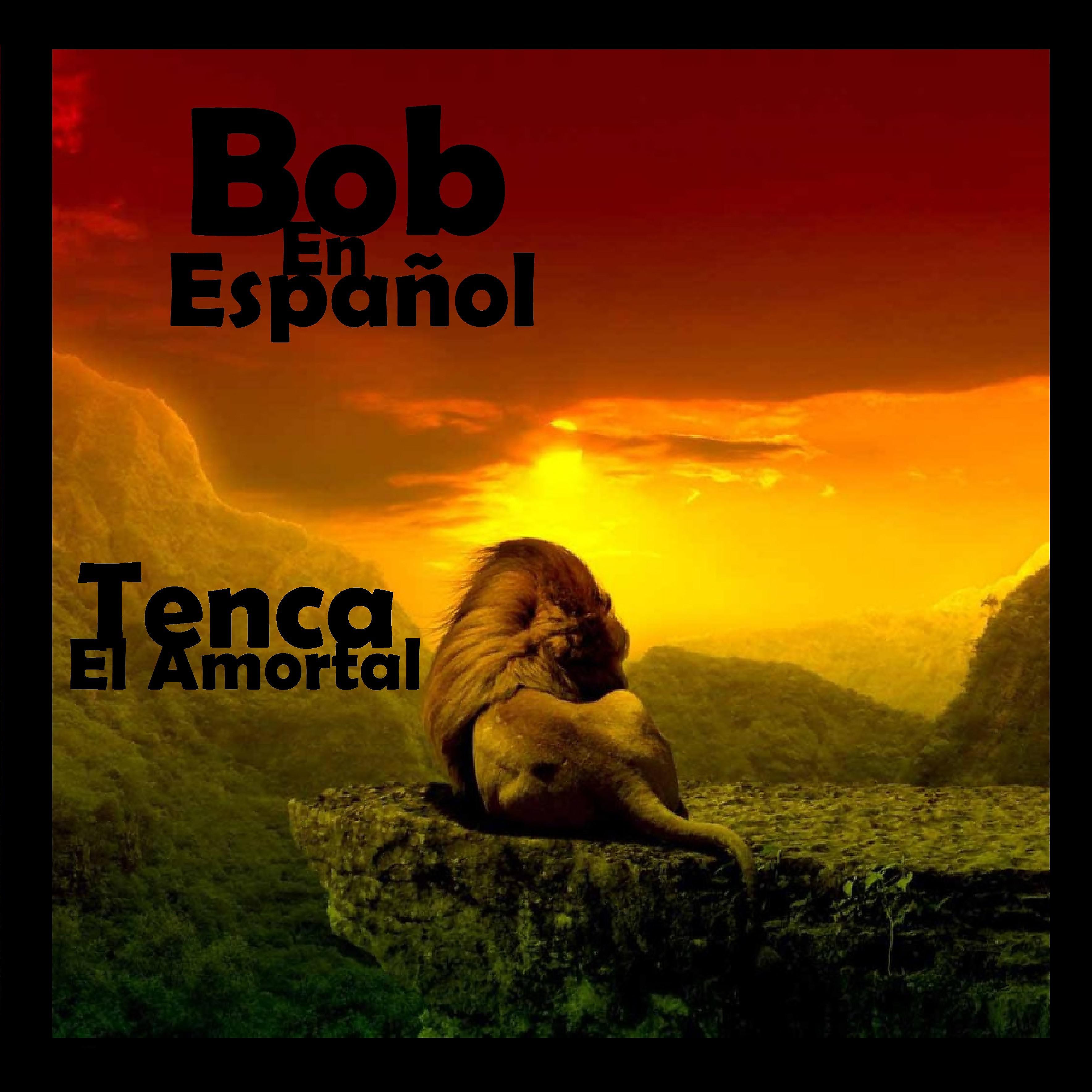 Постер альбома Bob En Español