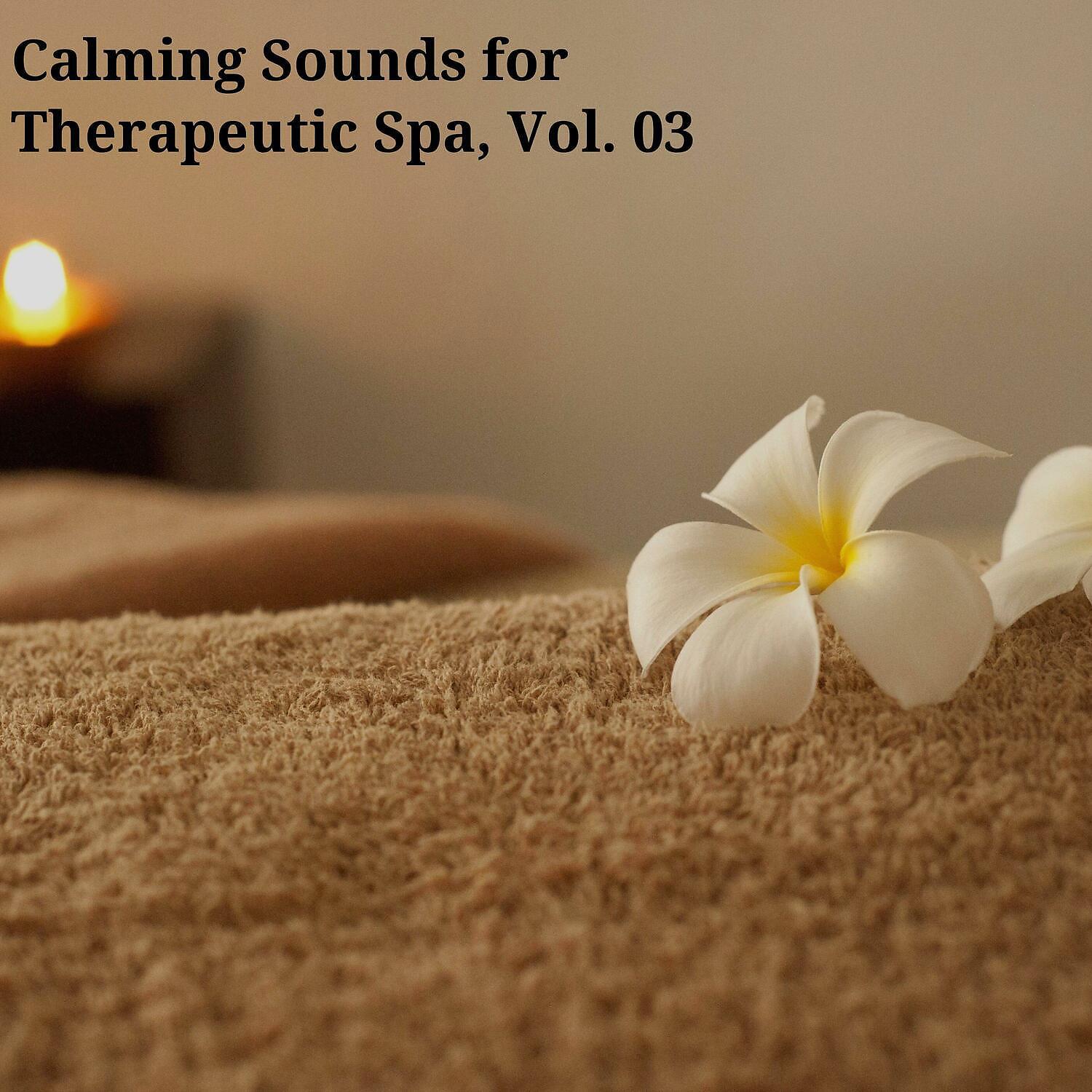 Постер альбома Calming Sounds for Therapeutic Spa, Vol. 03