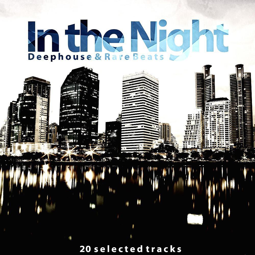 Постер альбома In the Night (Deephouse & Rare Beats)