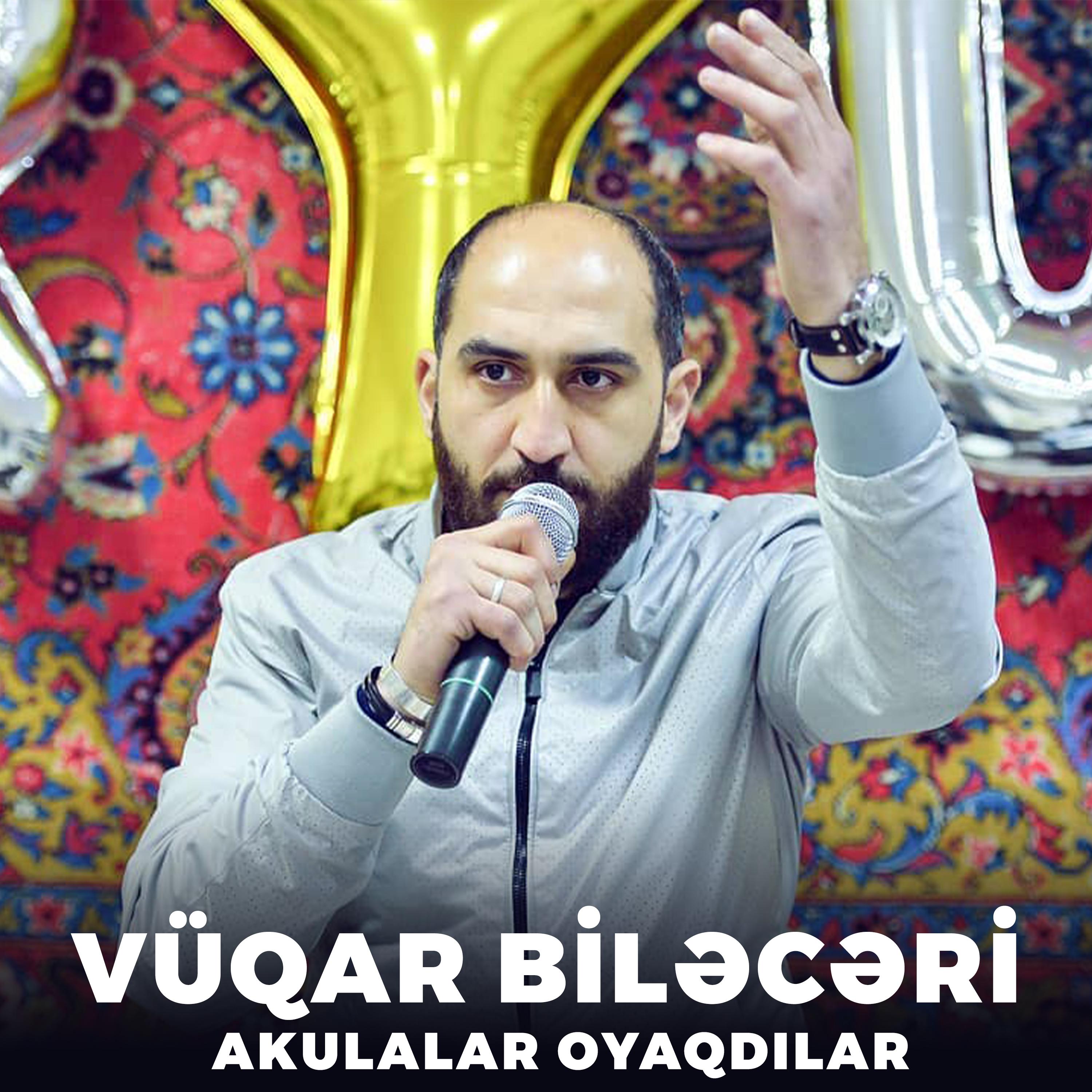 Постер альбома Akulalar Oyaqdılar