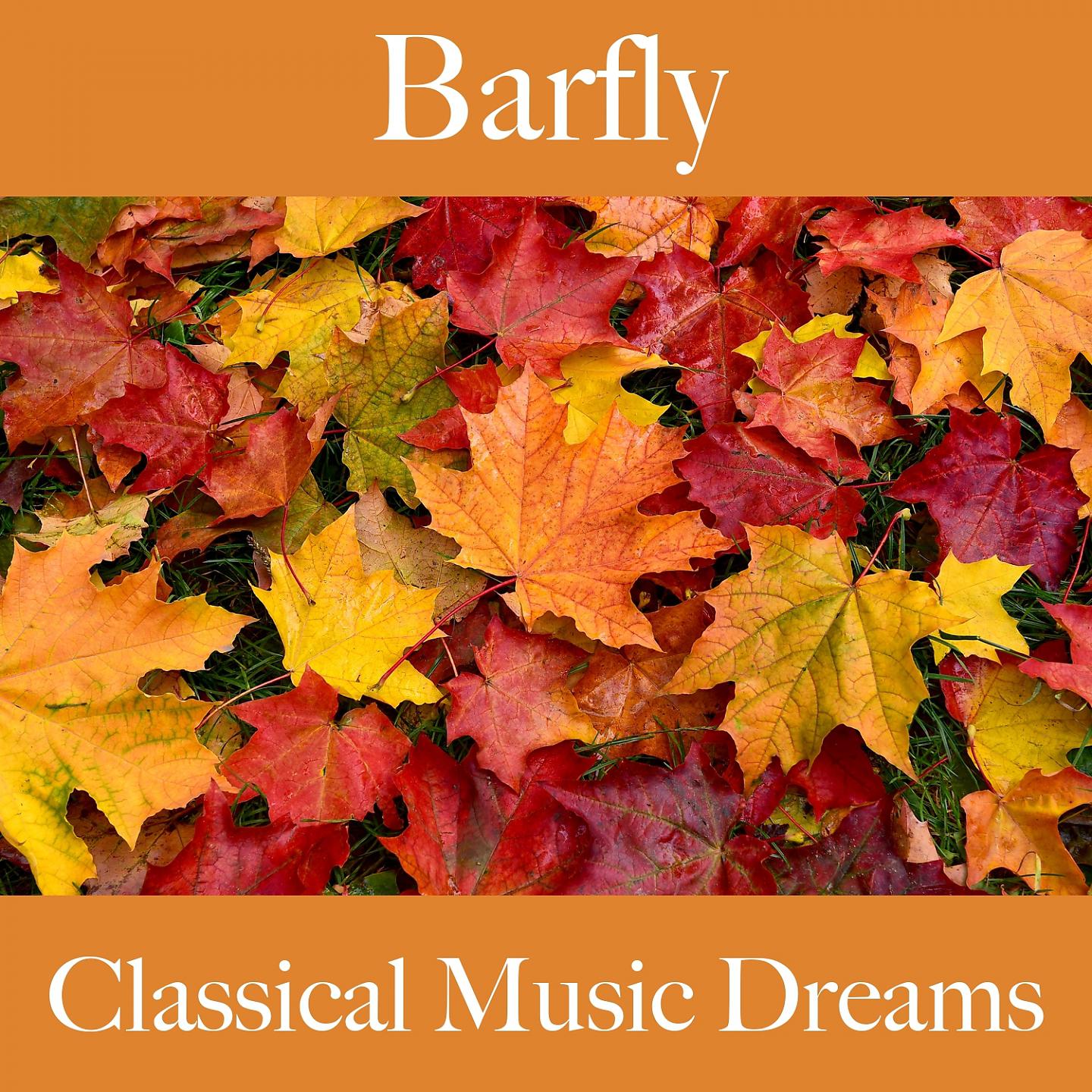 Постер альбома Barfly: Classical Music Dreams - Les Meilleurs Sons Pour Se Détendre