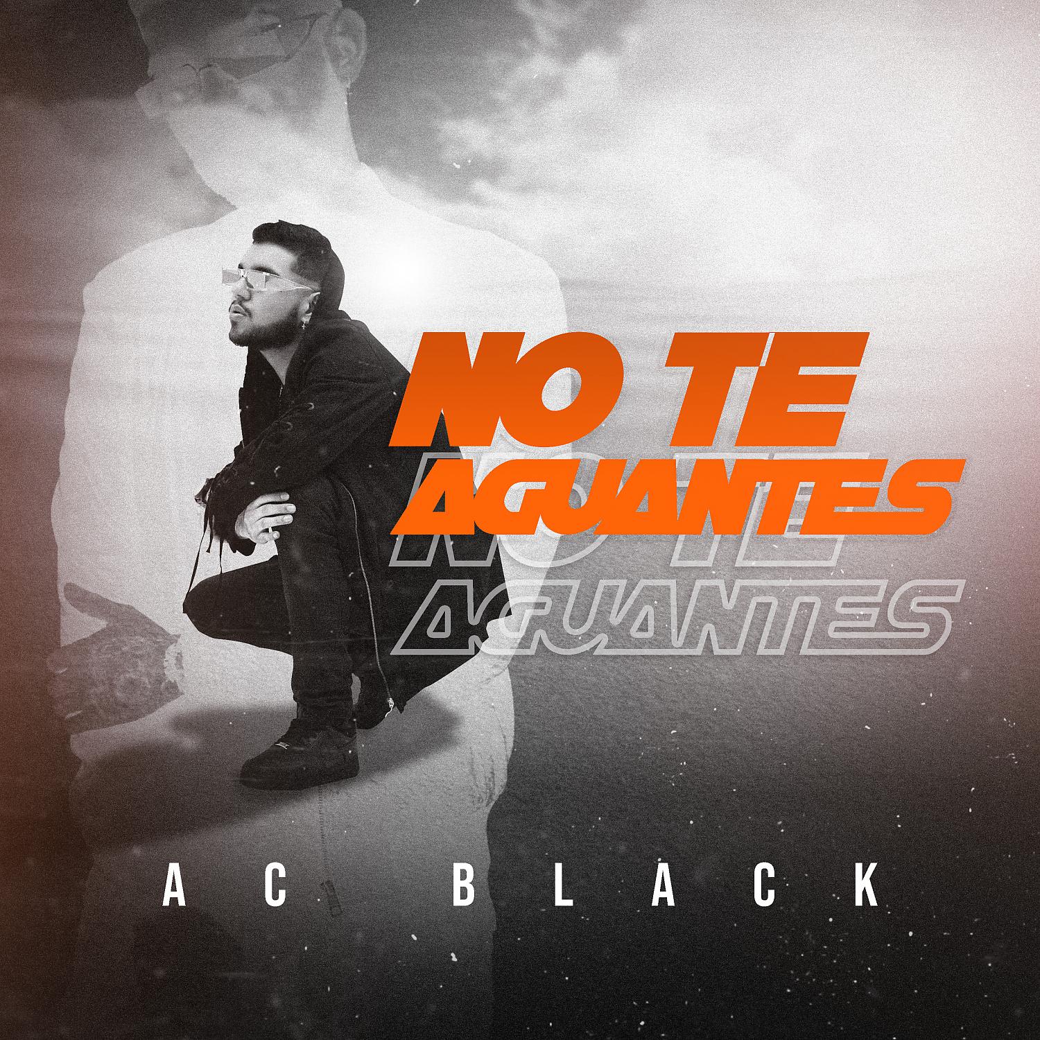 Постер альбома No Te Aguantes