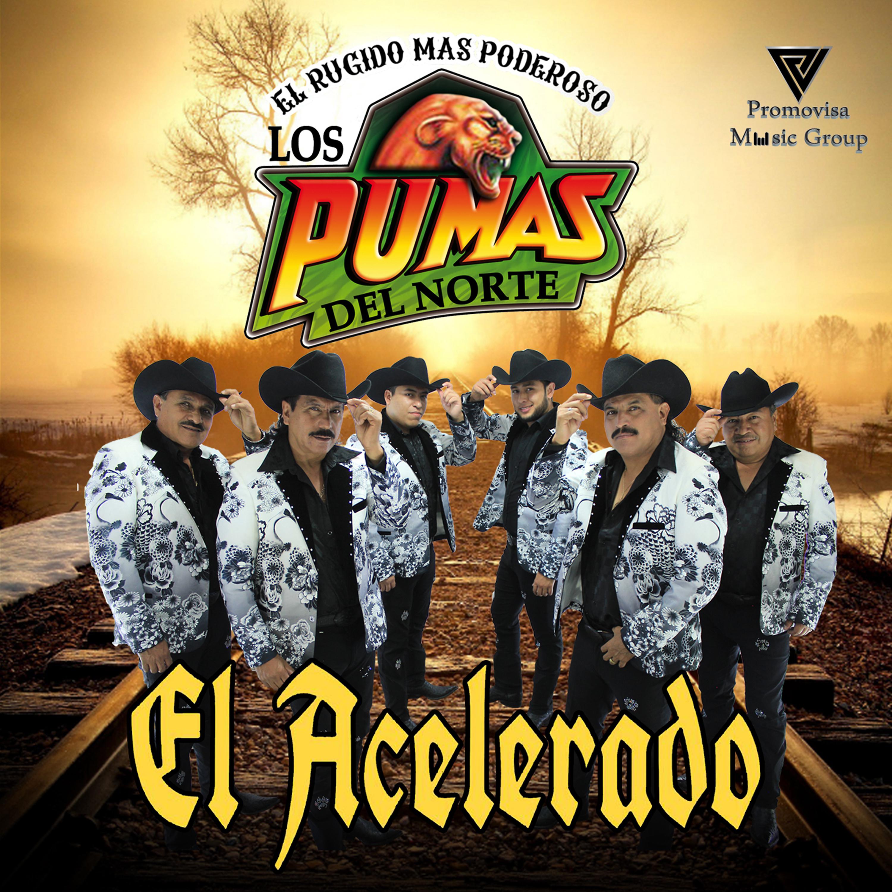 Постер альбома El Acelerado