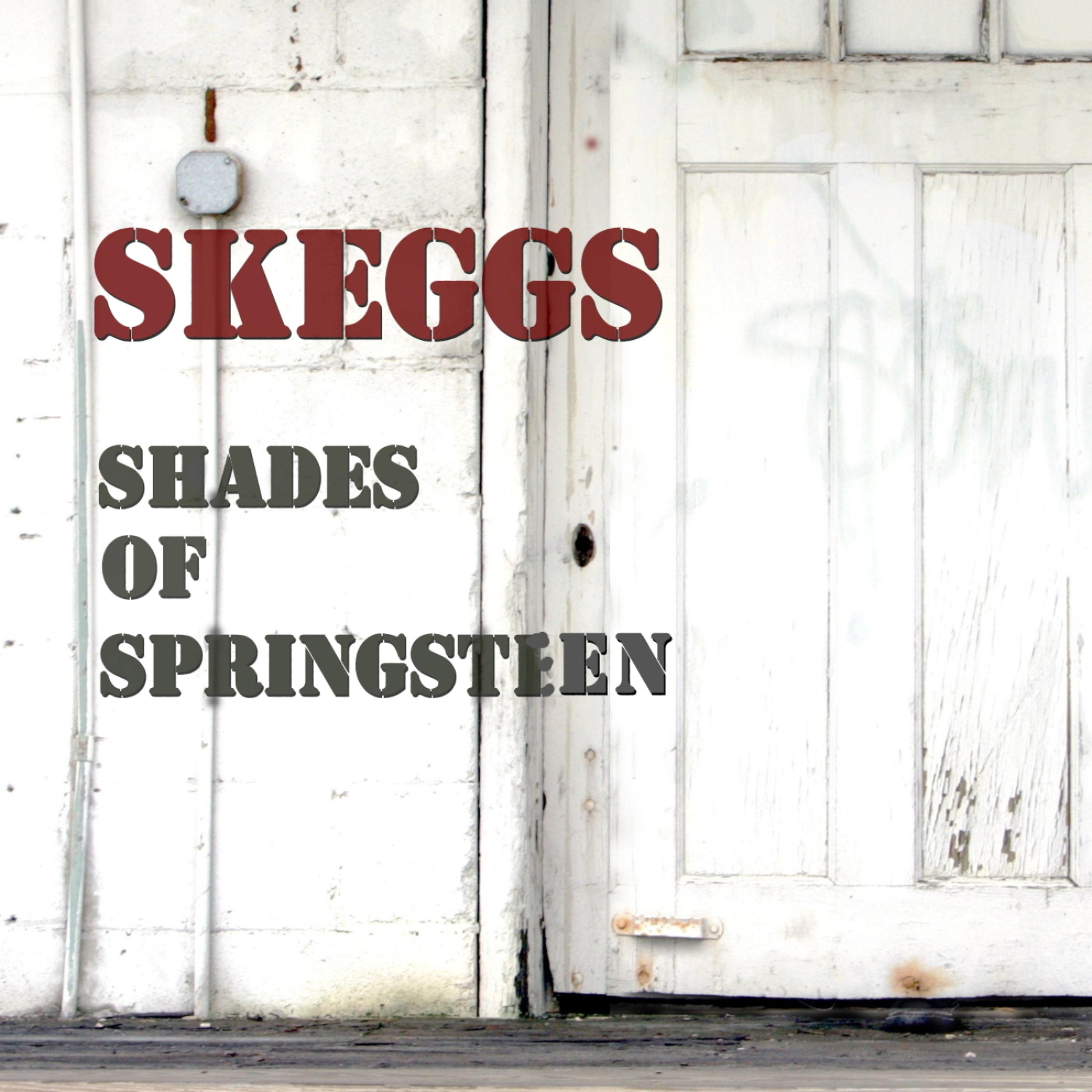 Постер альбома Shades of Springsteen