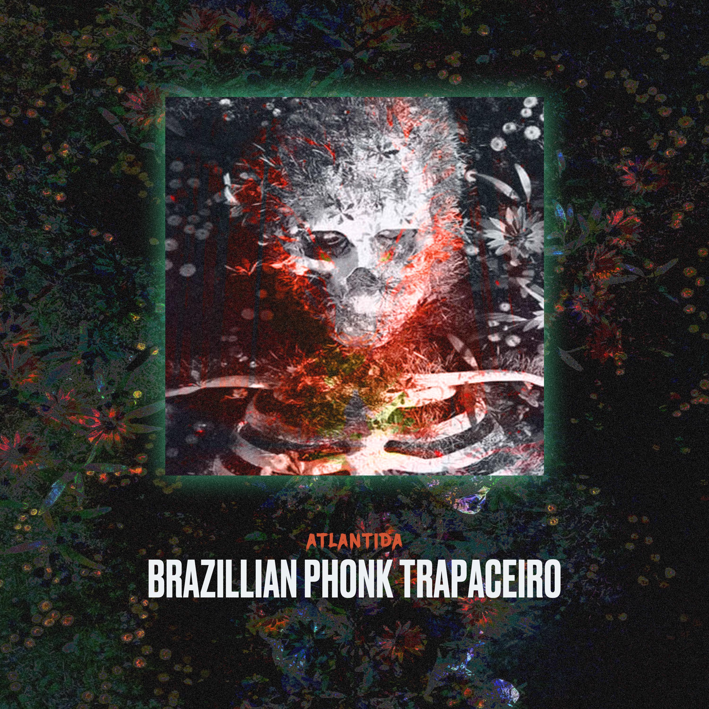 Постер альбома Brazillian Phonk Trapaceiro