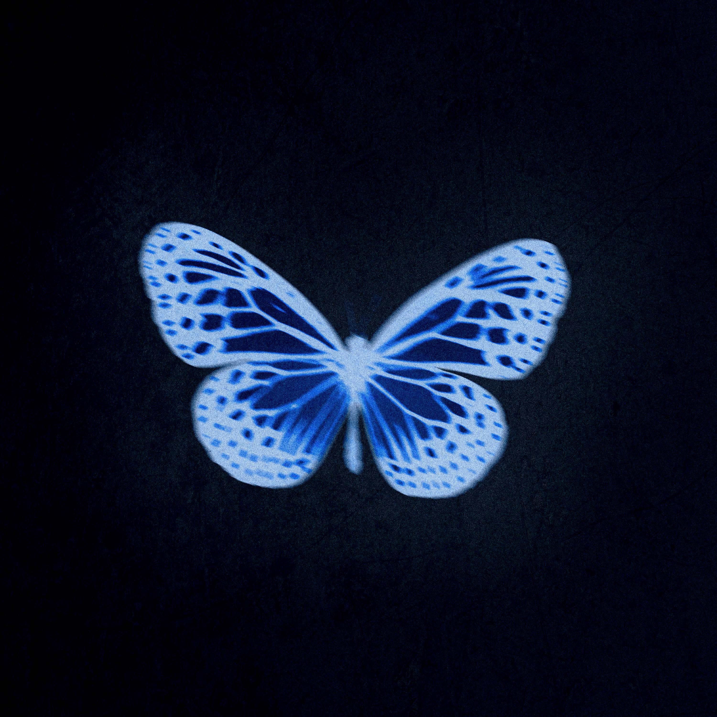Постер альбома butterfly effect