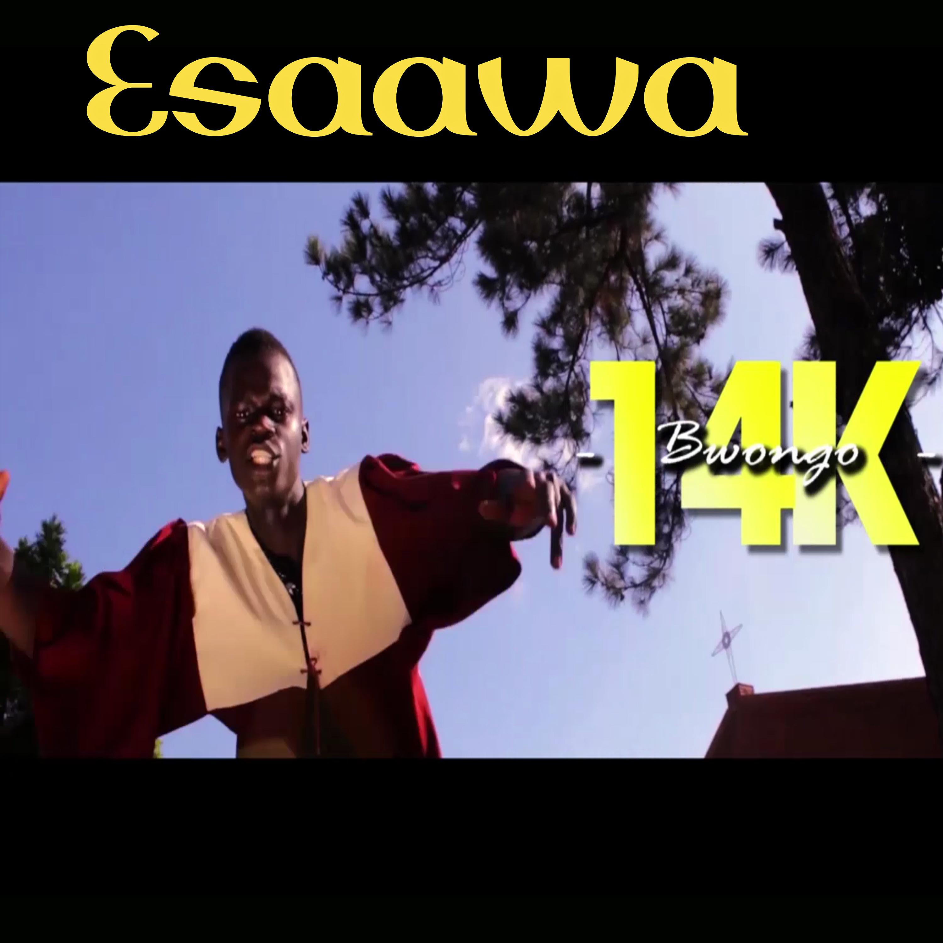 Постер альбома Esaawa