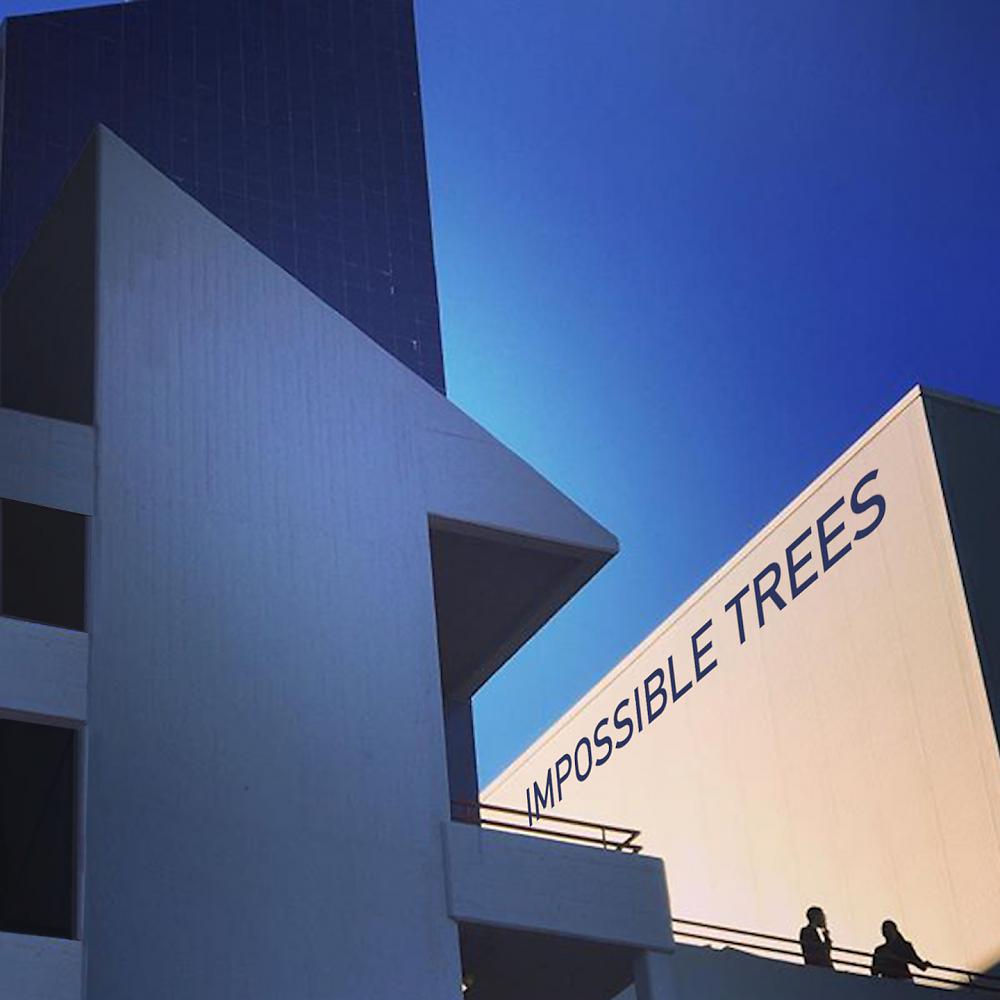 Постер альбома Impossible Trees