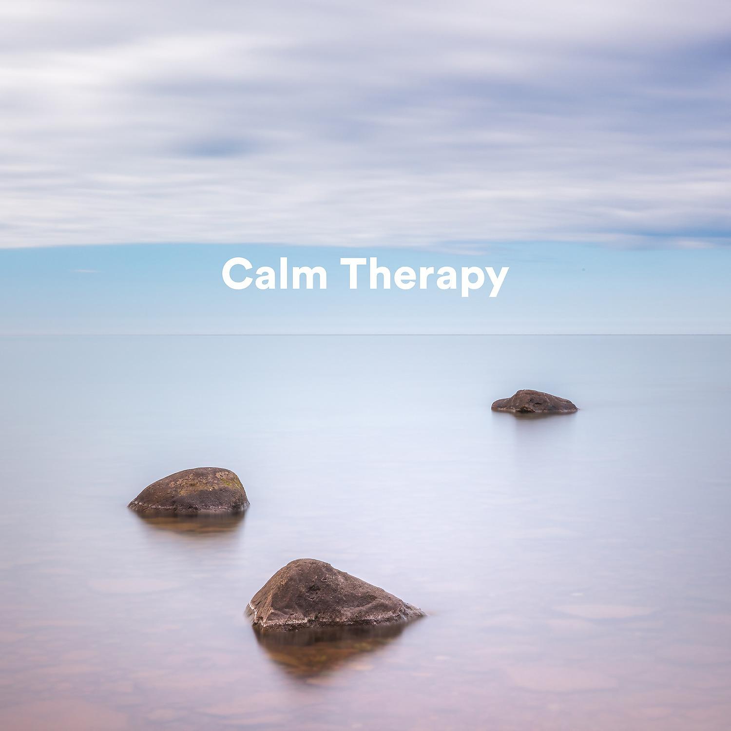 Постер альбома Calm Therapy