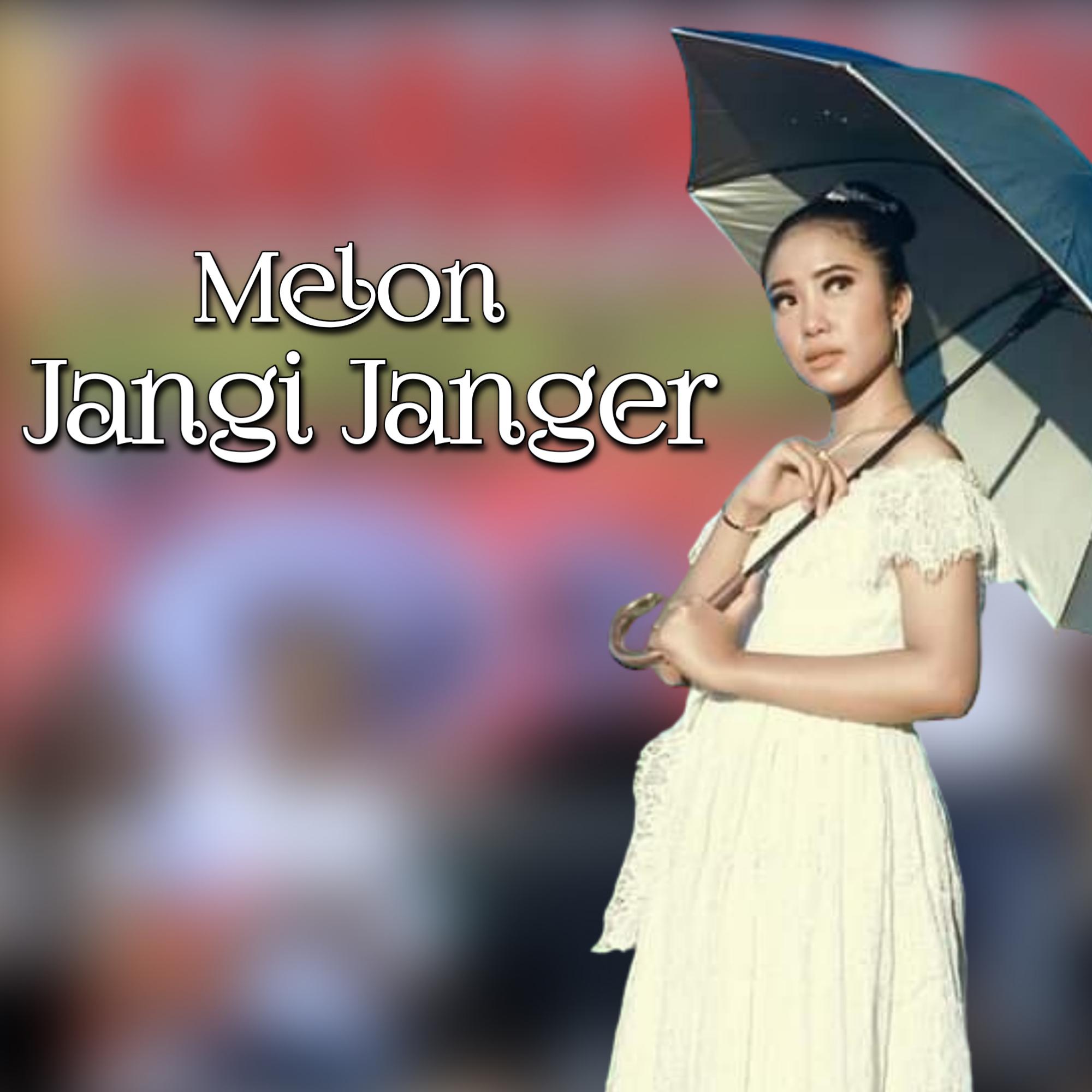Постер альбома Jangi Janger