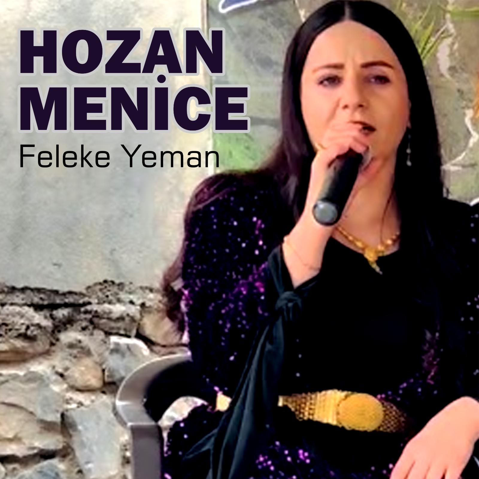 Постер альбома Feleke Yeman