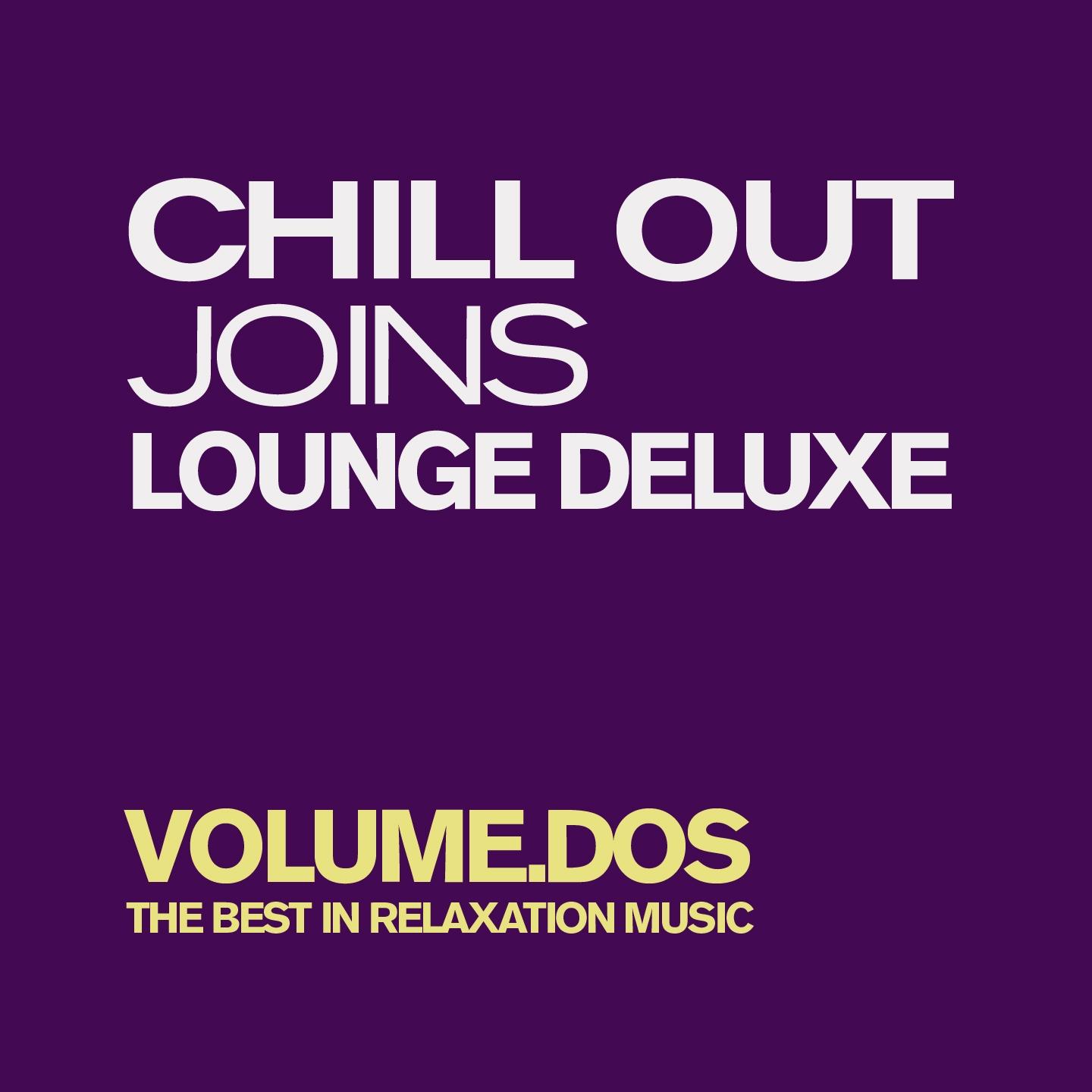 Постер альбома Chill Out Joins Lounge Deluxe, Vol. 2