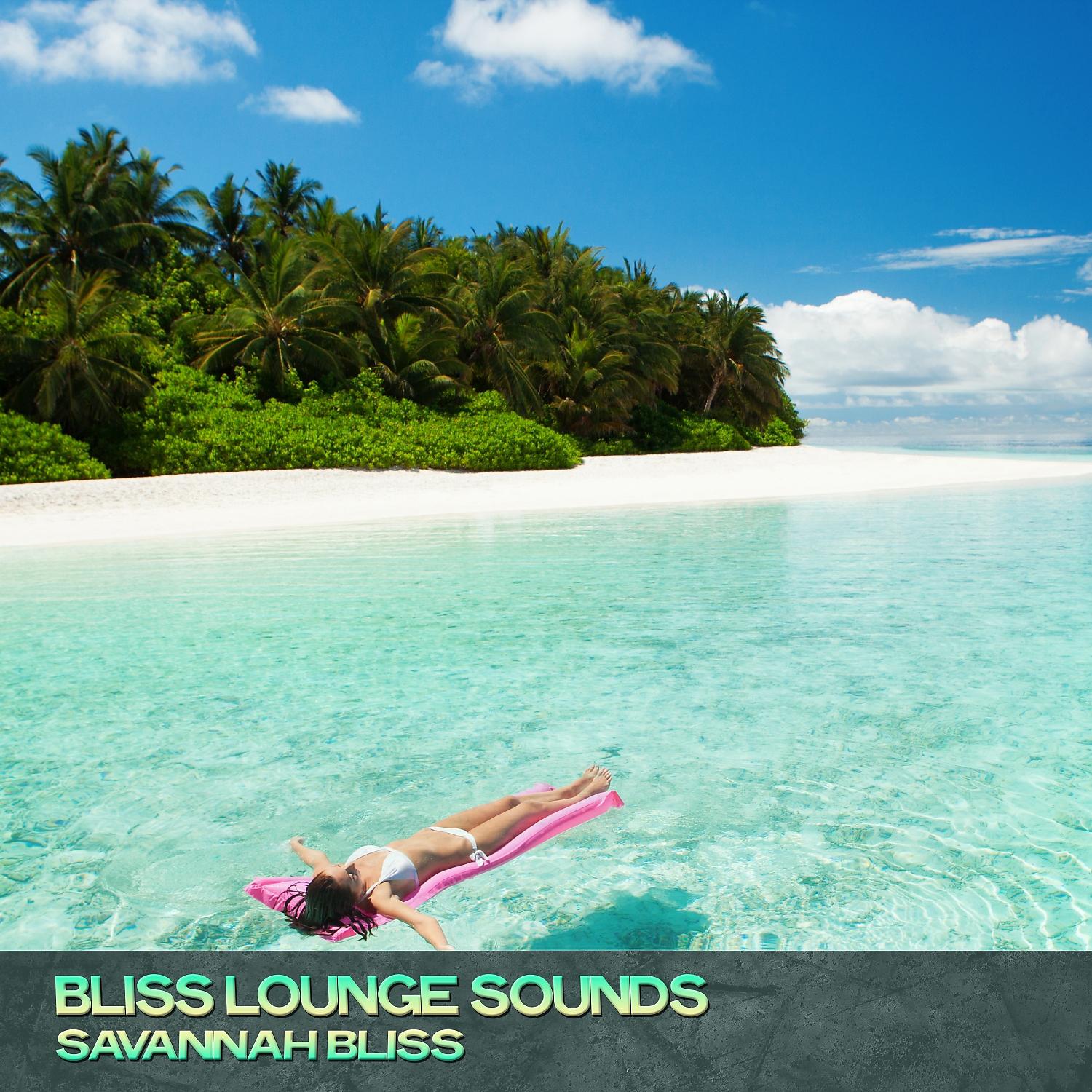 Постер альбома Bliss Lounge Sounds