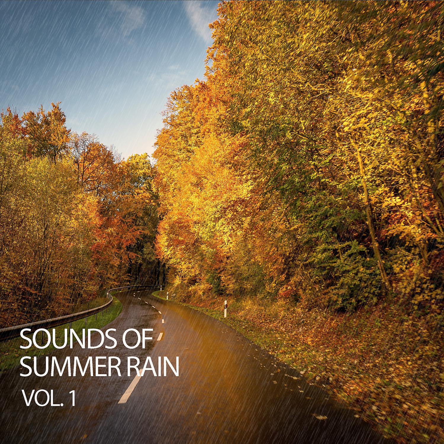 Постер альбома Sounds Of Summer Rain Vol. 1