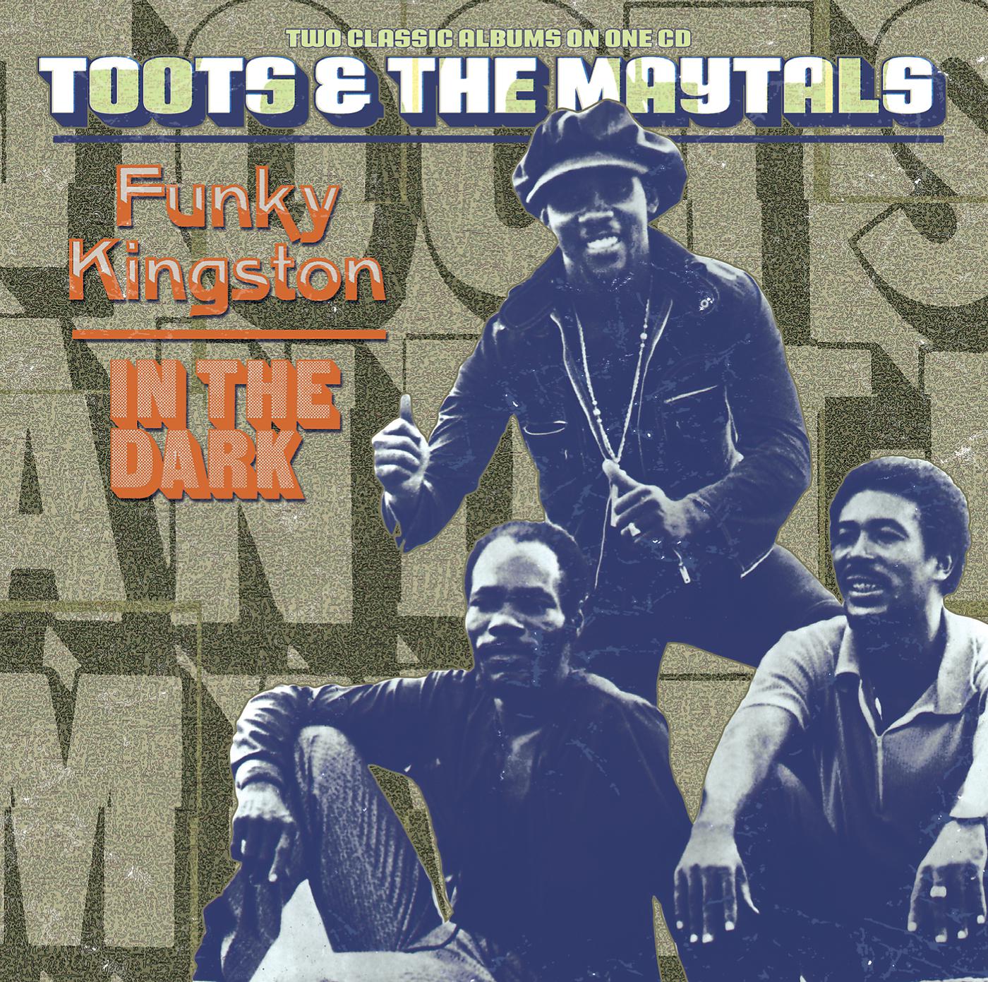 Постер альбома Funky Kingston / In The Dark