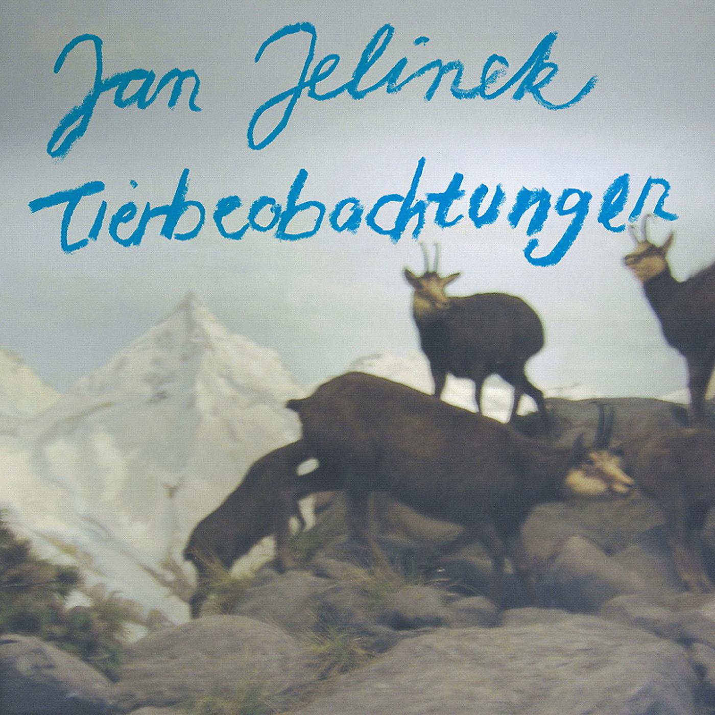 Постер альбома Tierbeobachtungen