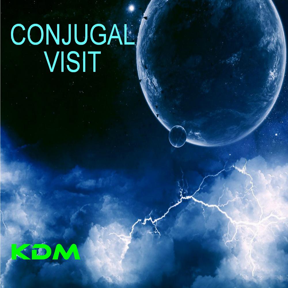 Постер альбома Conjugal Visit