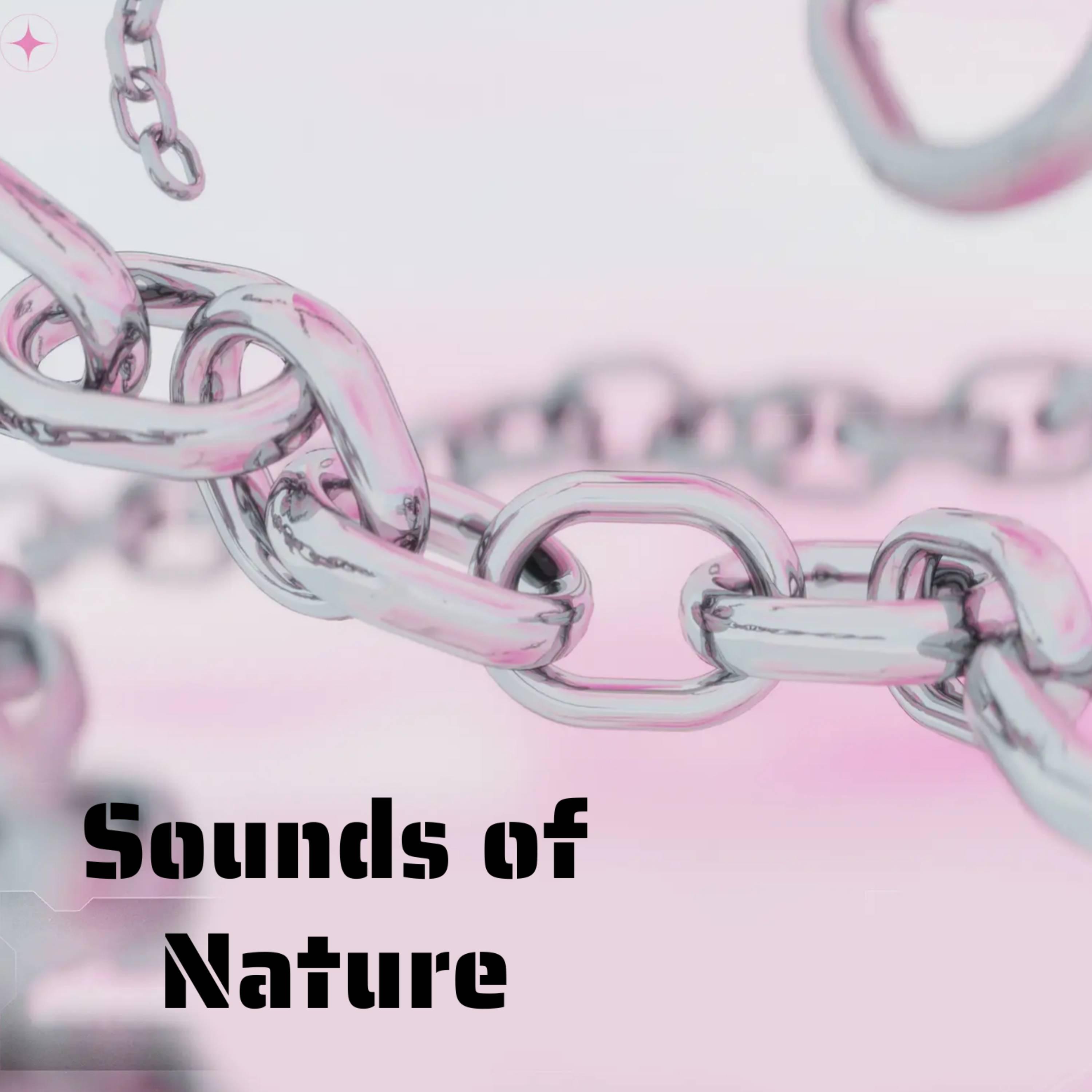 Постер альбома Sounds of Nature