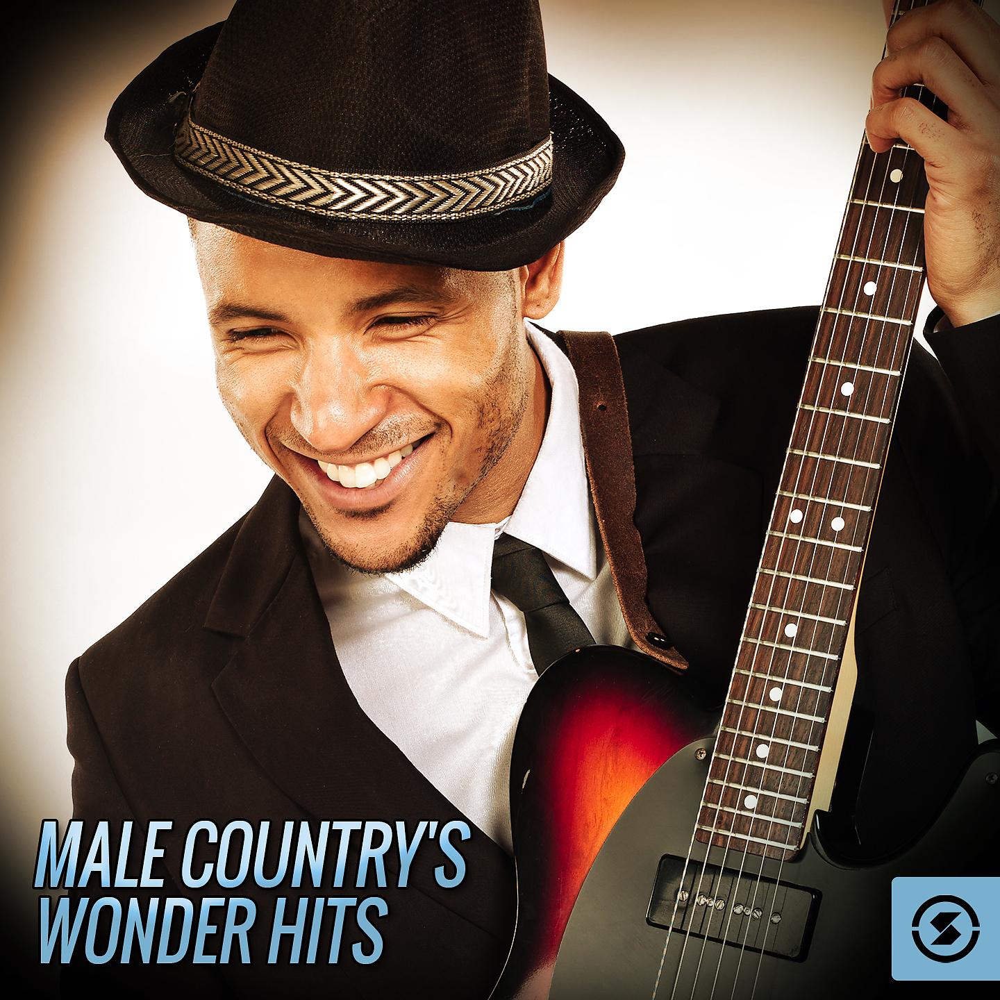 Постер альбома Male Country's Wonder Hits