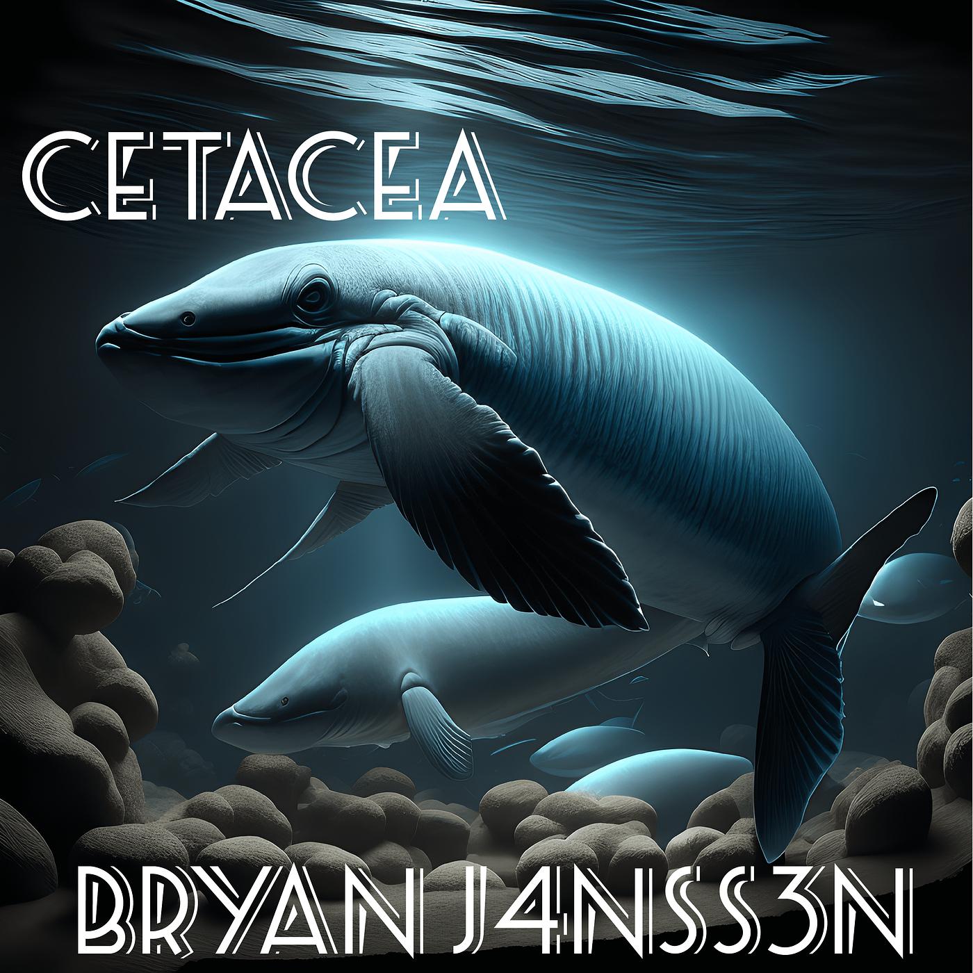 Постер альбома Cetacea